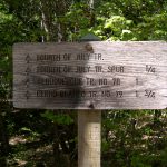 Starting out on the trail