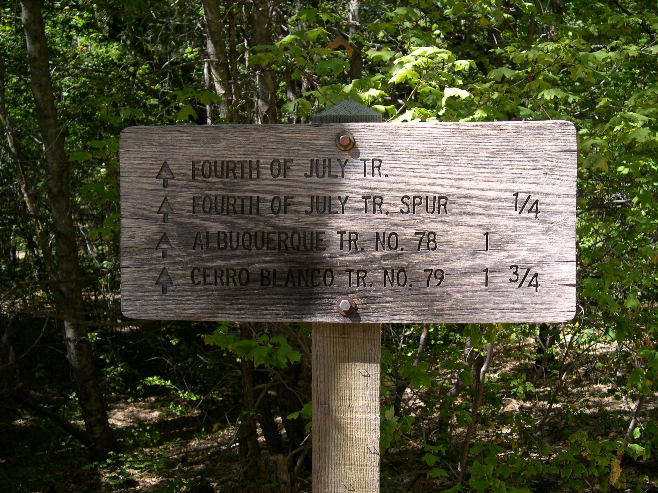 Starting out on the trail
