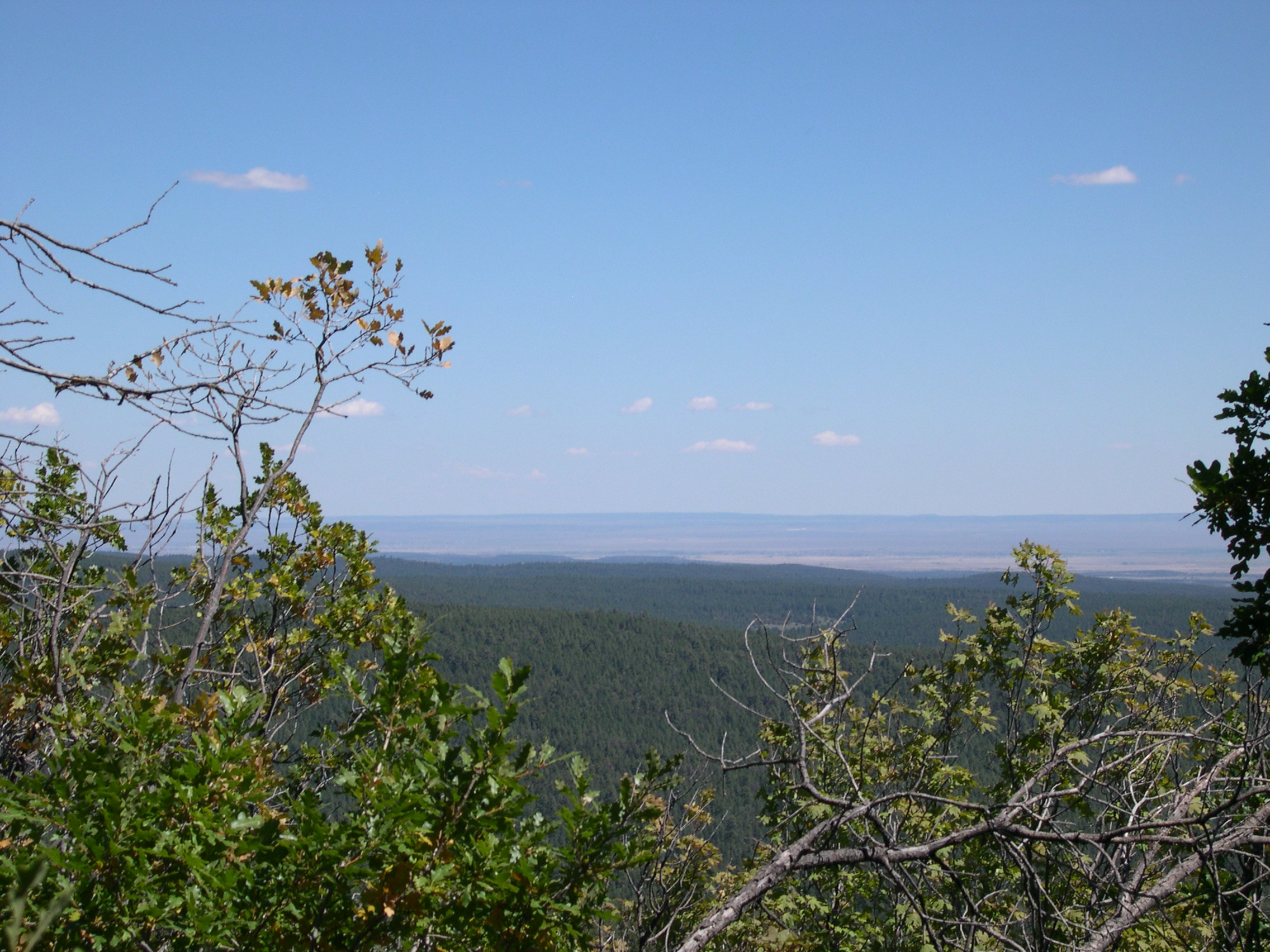 View from the the Cerro Blanco Trail