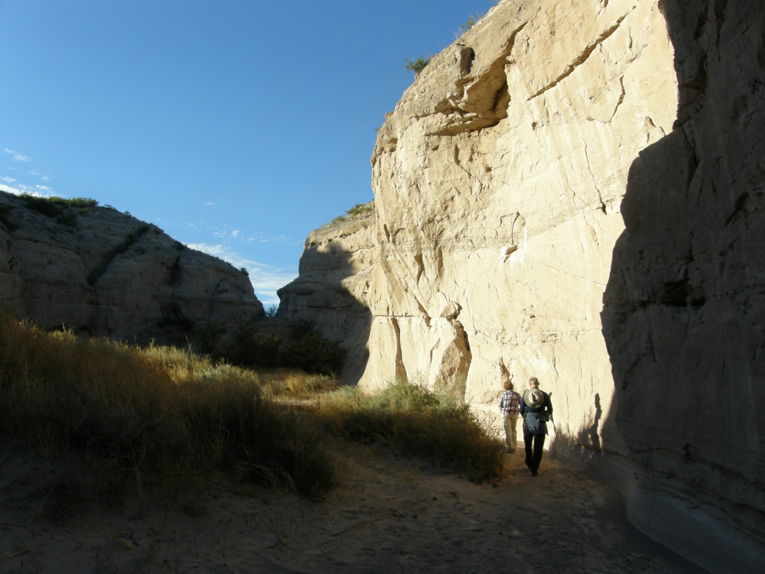 On the trail