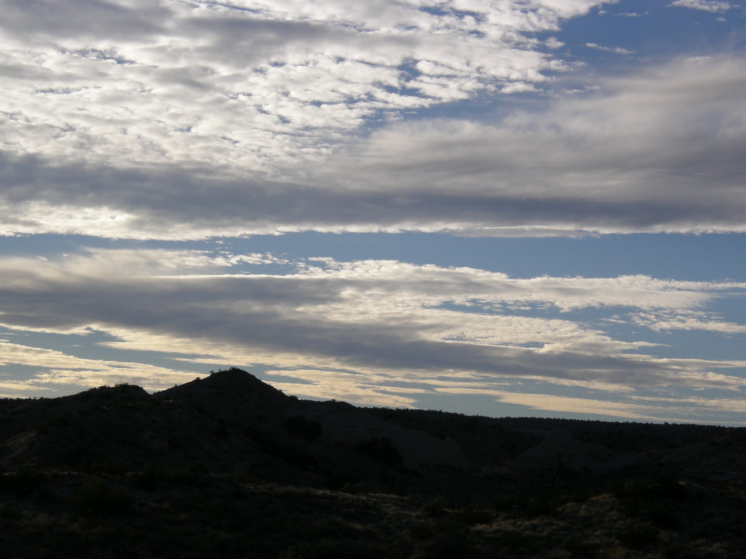 Dusk on the Bosque