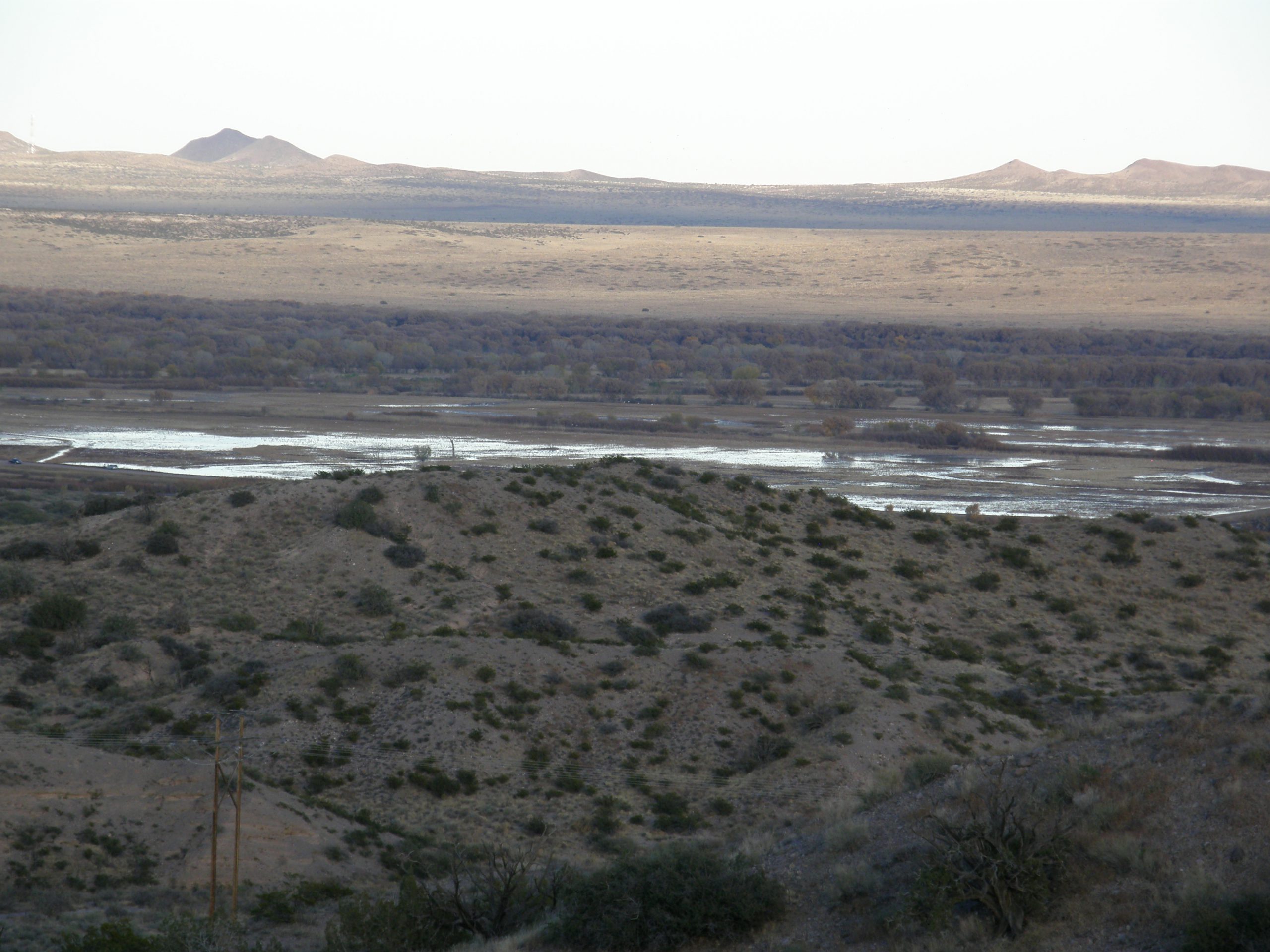 View of the Bosque