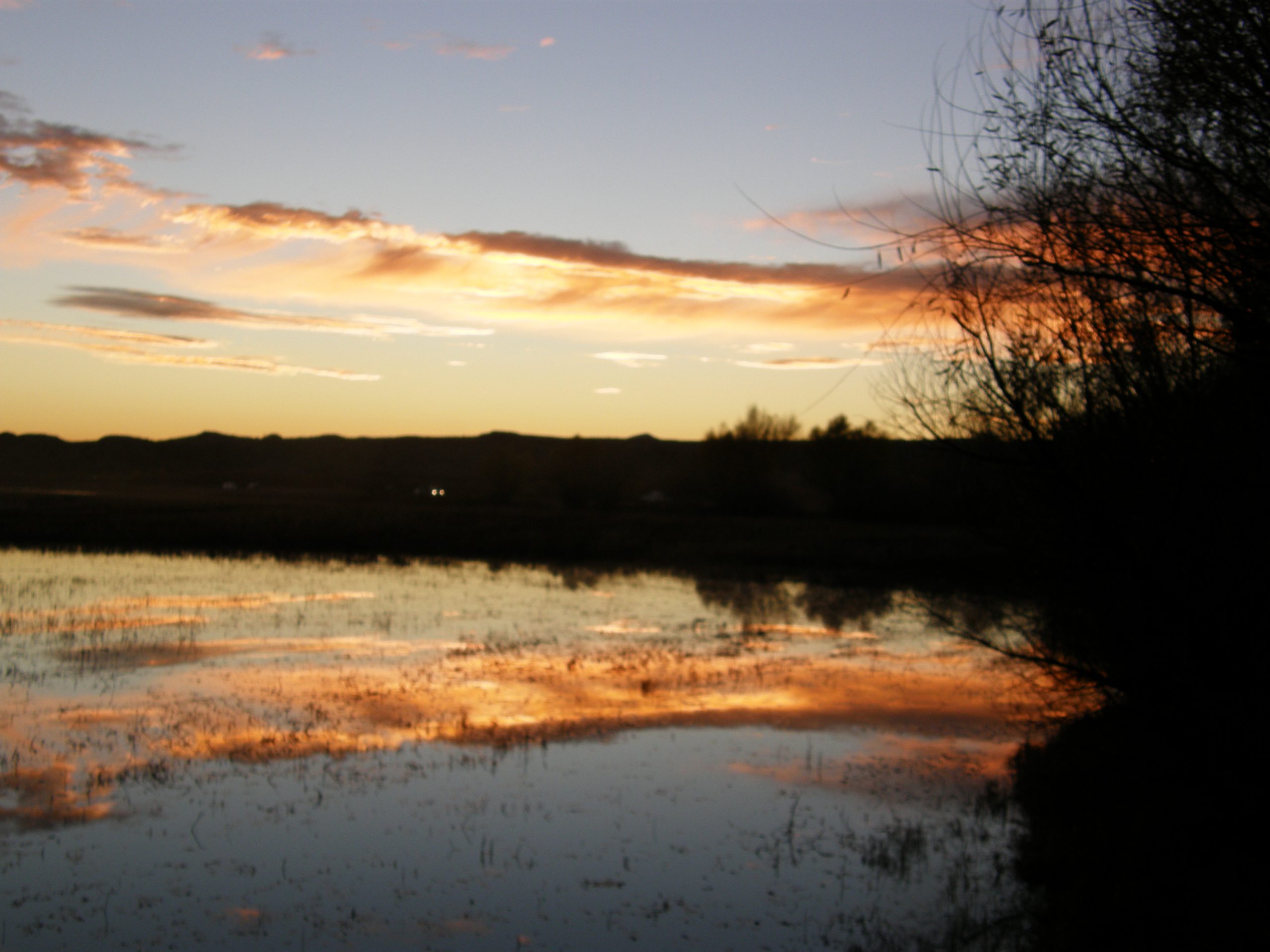 Dusk on the Bosque