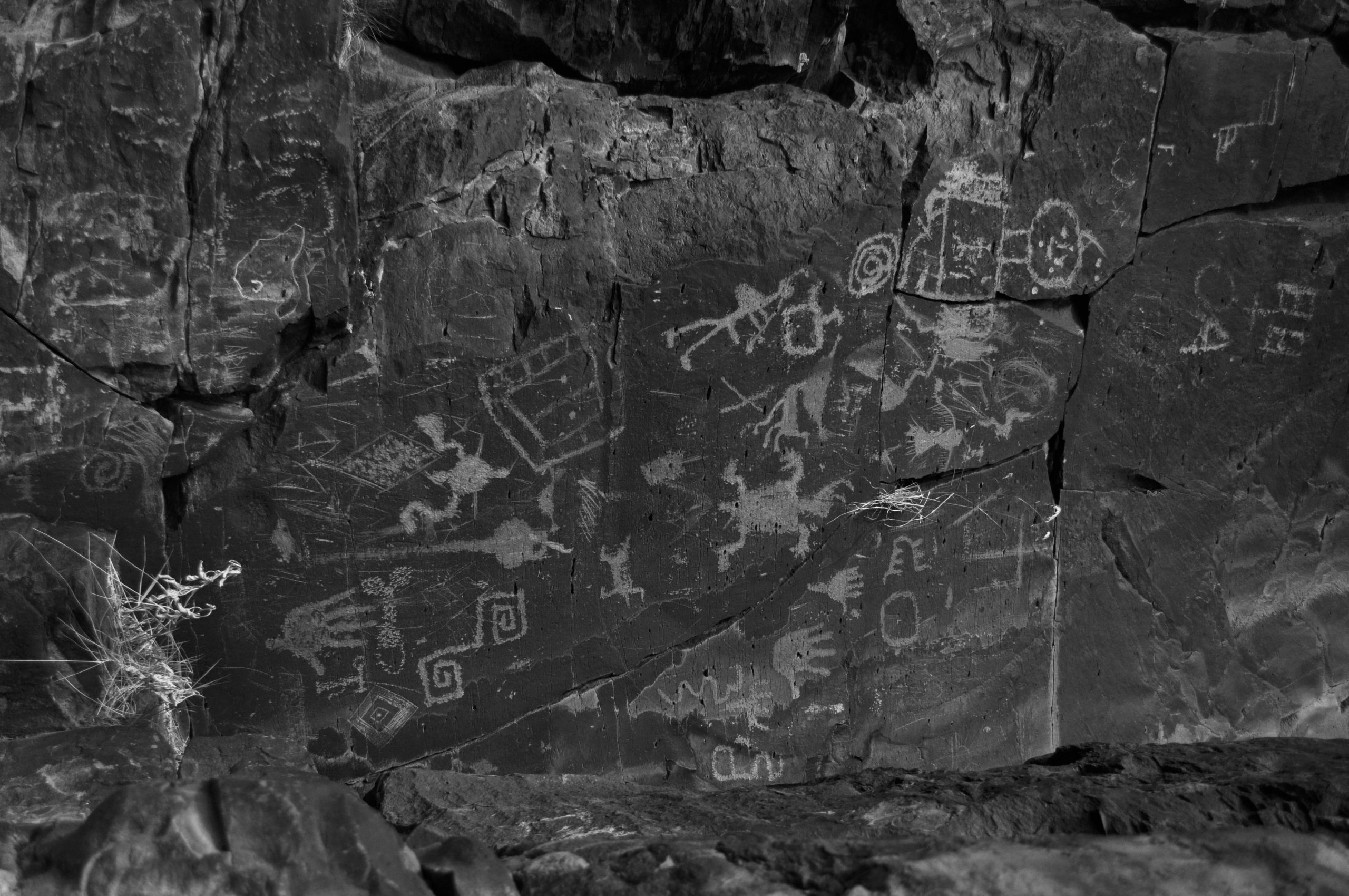 Wall of petroglyphs including kokopelli