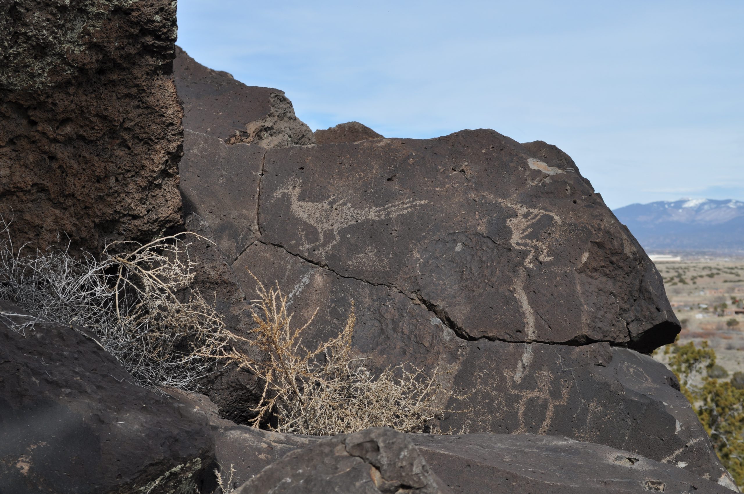 Bird and Kokopelli