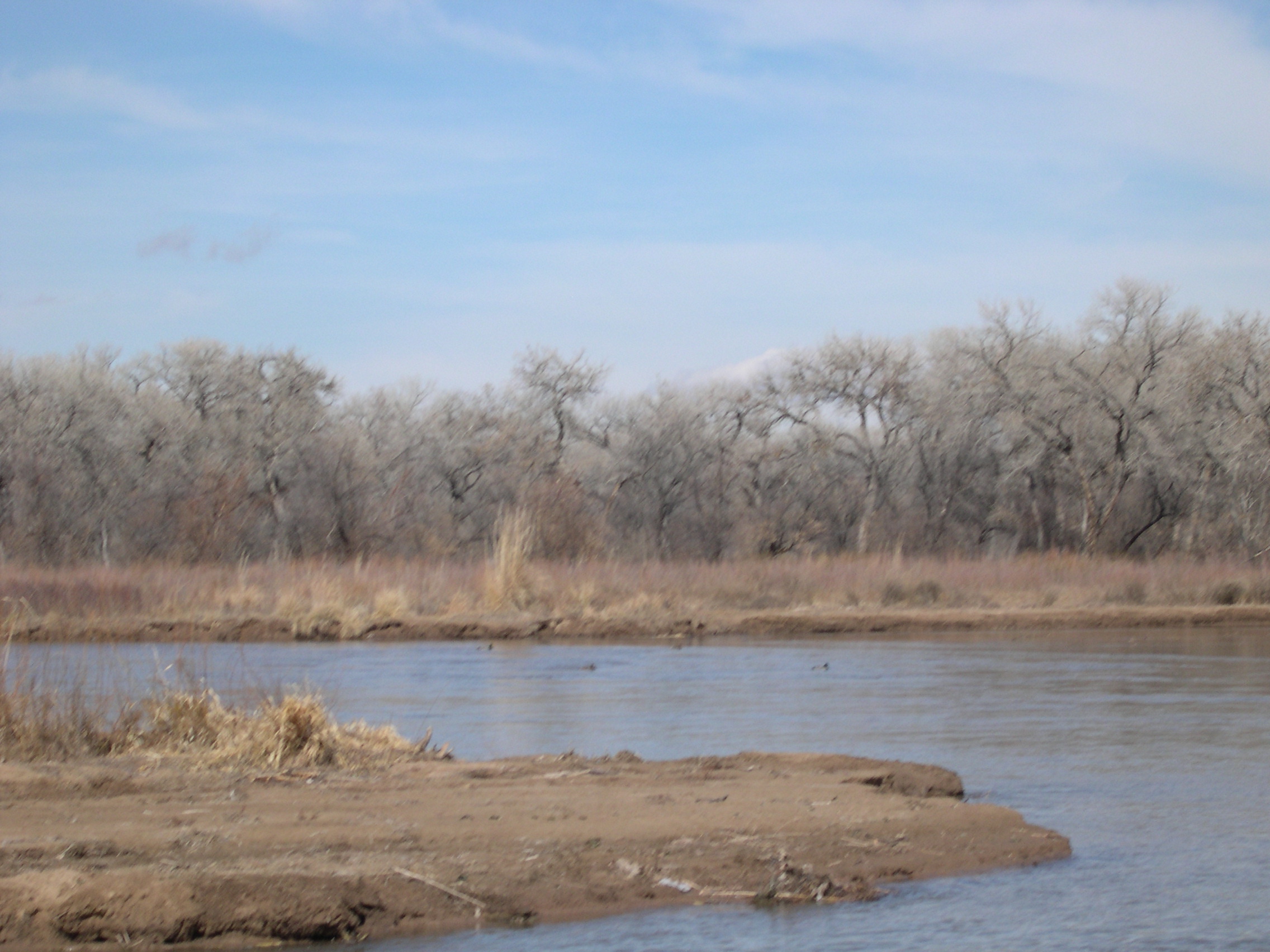 View of the Rio Grande
