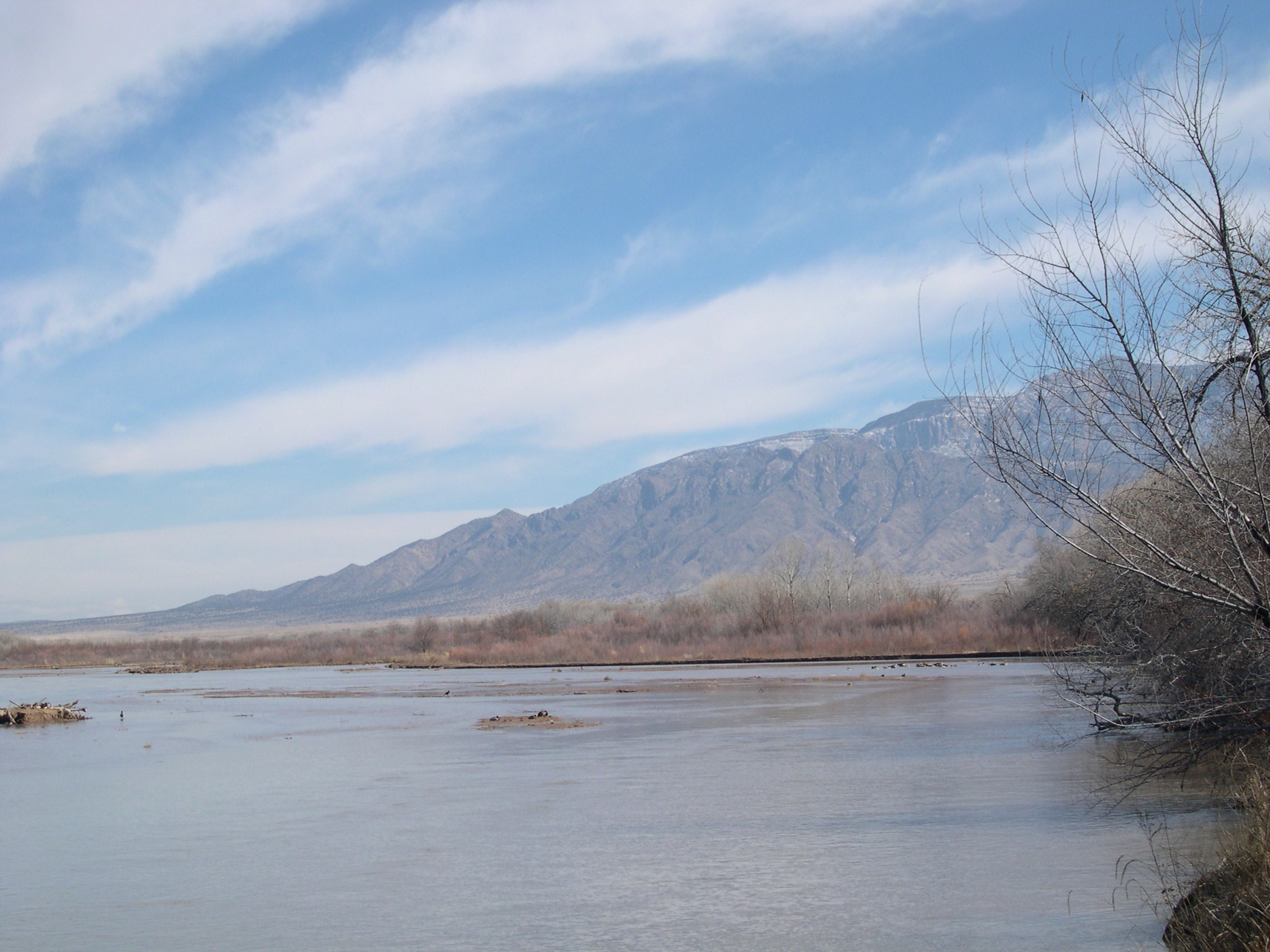 View of the Rio Grande