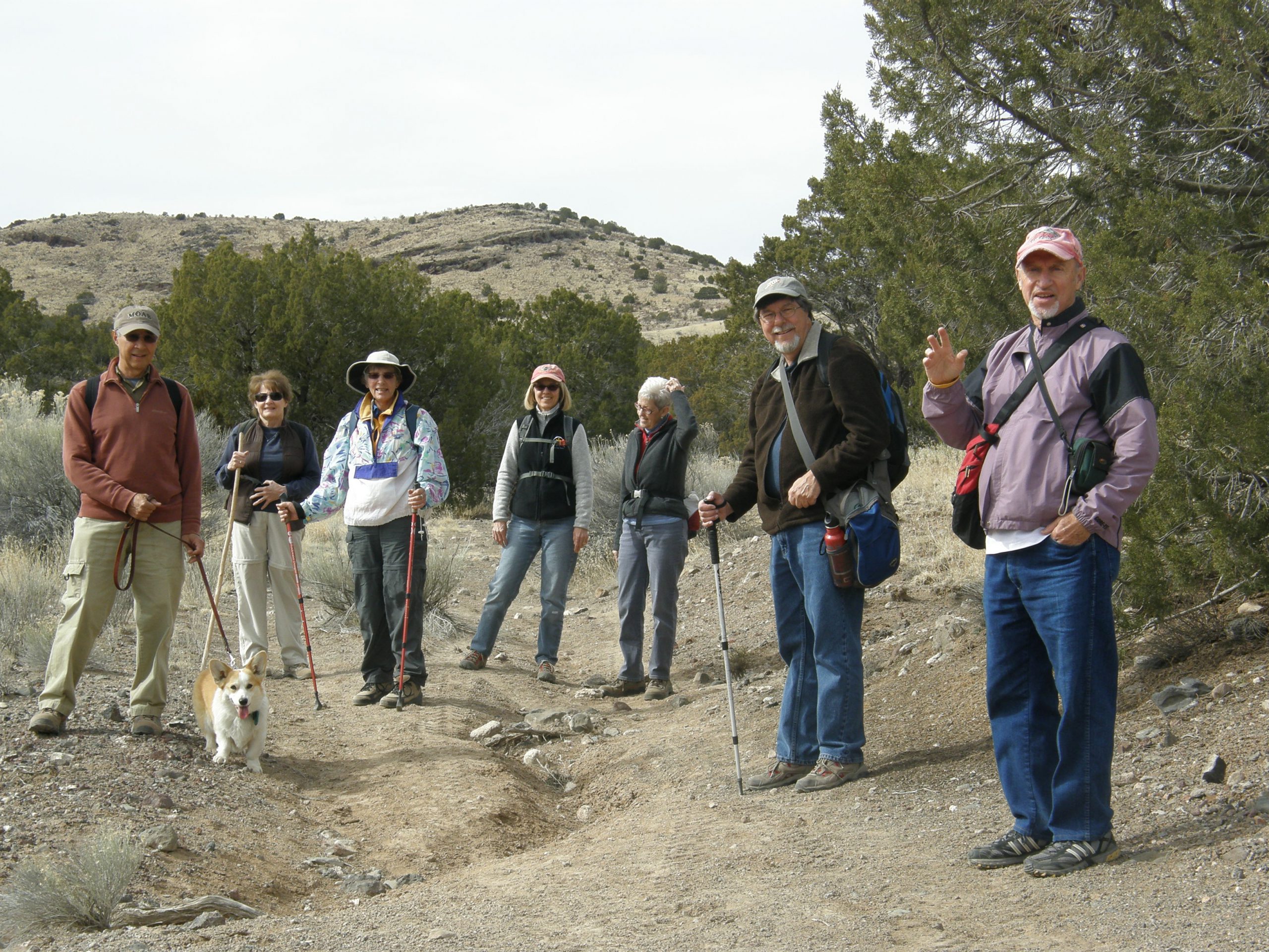 The Hikers