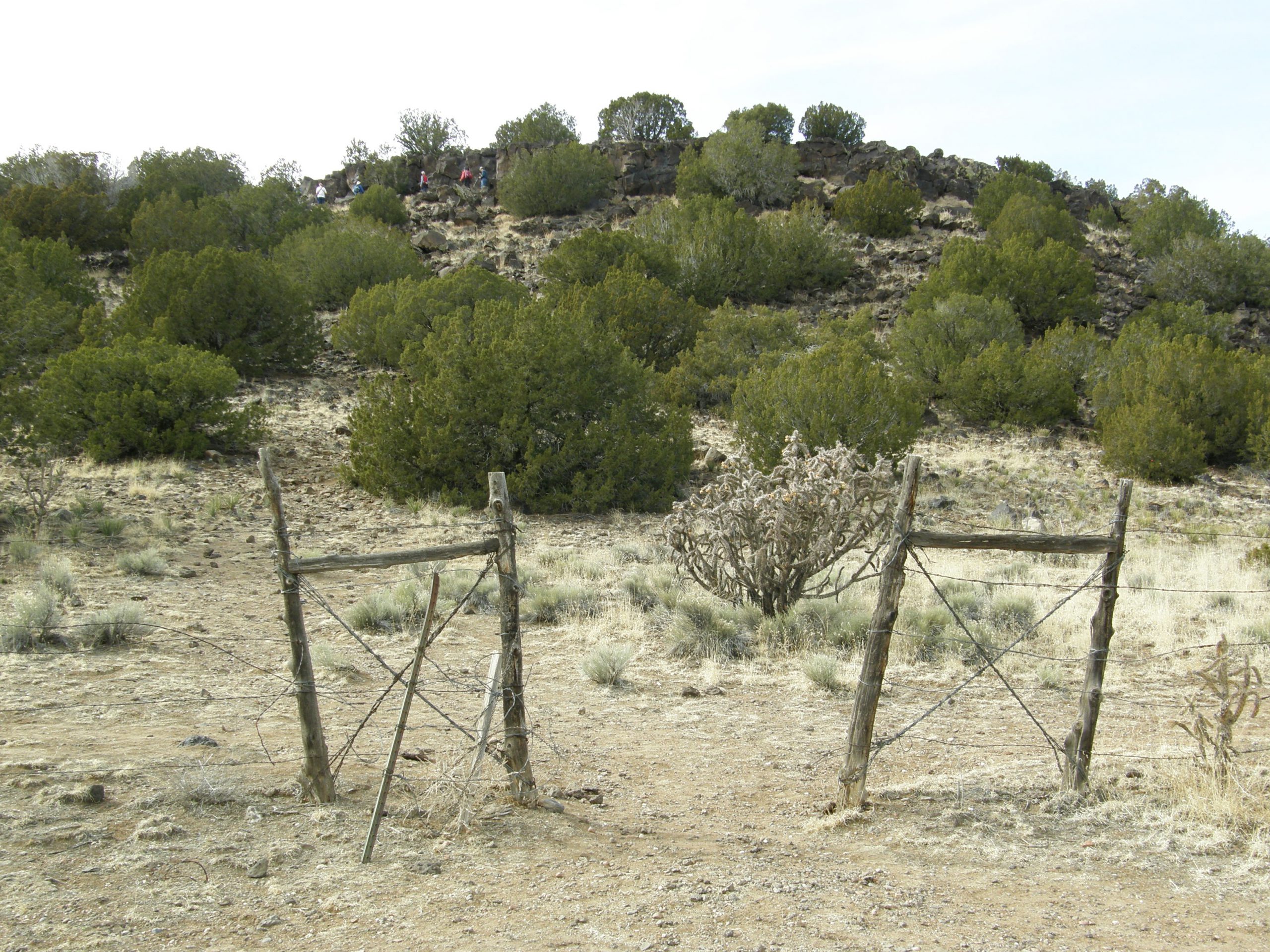 Trail to petroglyphs