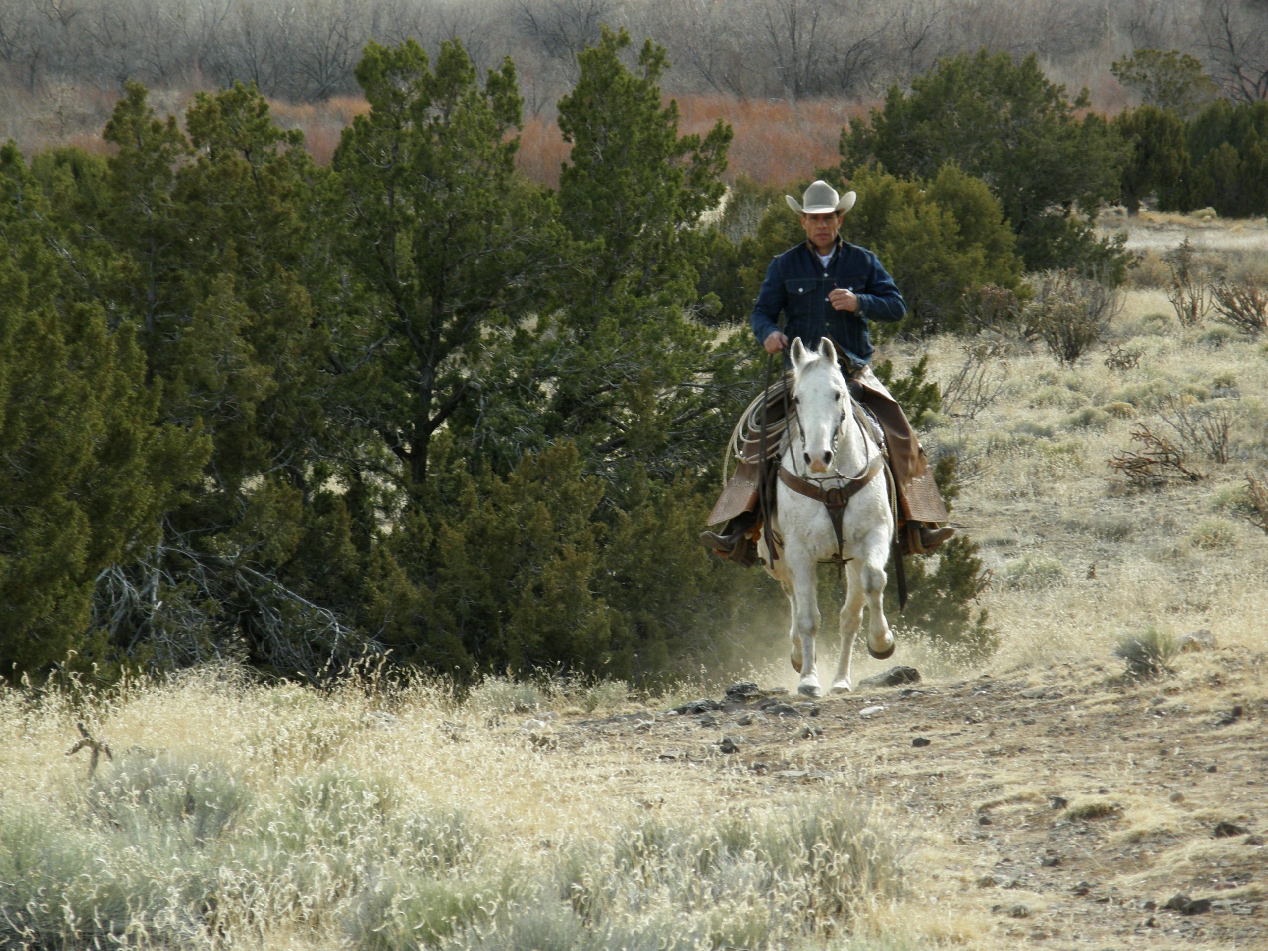 Horseman