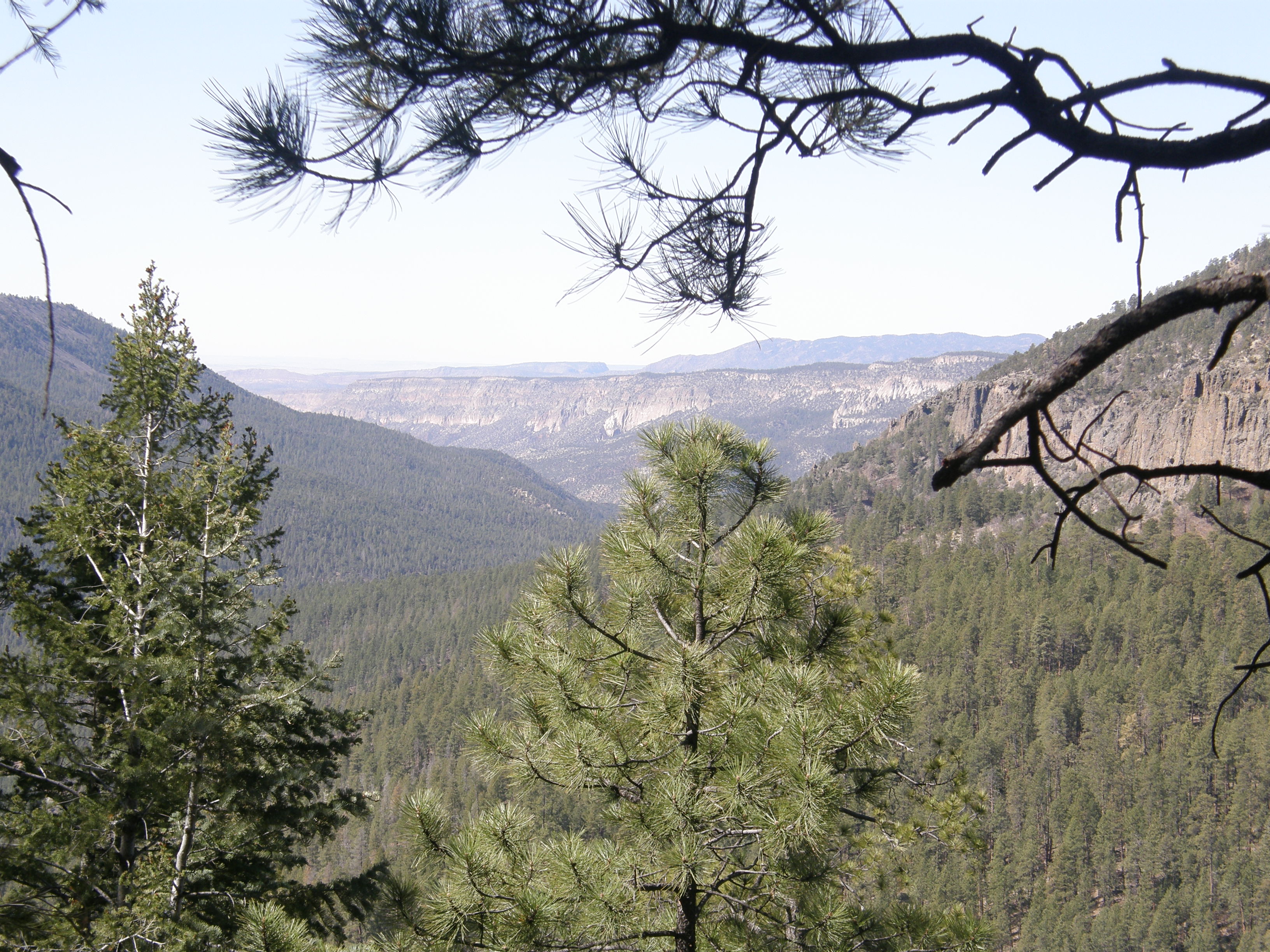 San Diego Canyon