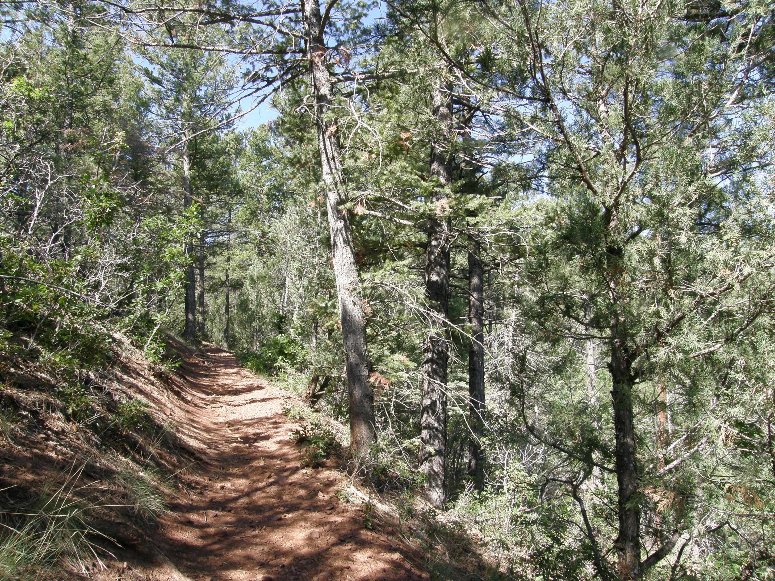 On the trail