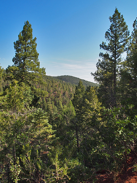View North from the Faulty Trail