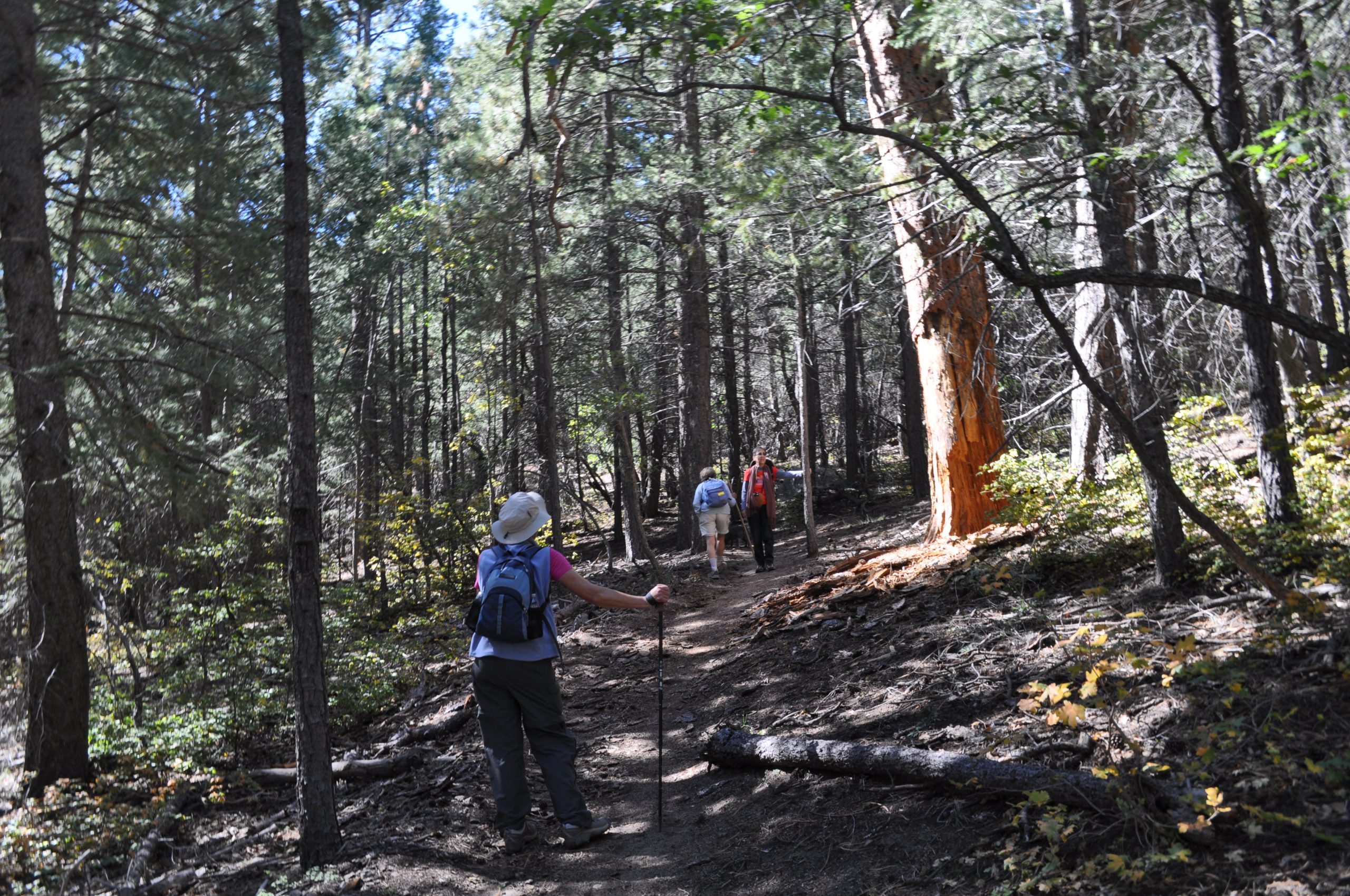 On the way to Mosca Peek on the 4th of July Spring Trail