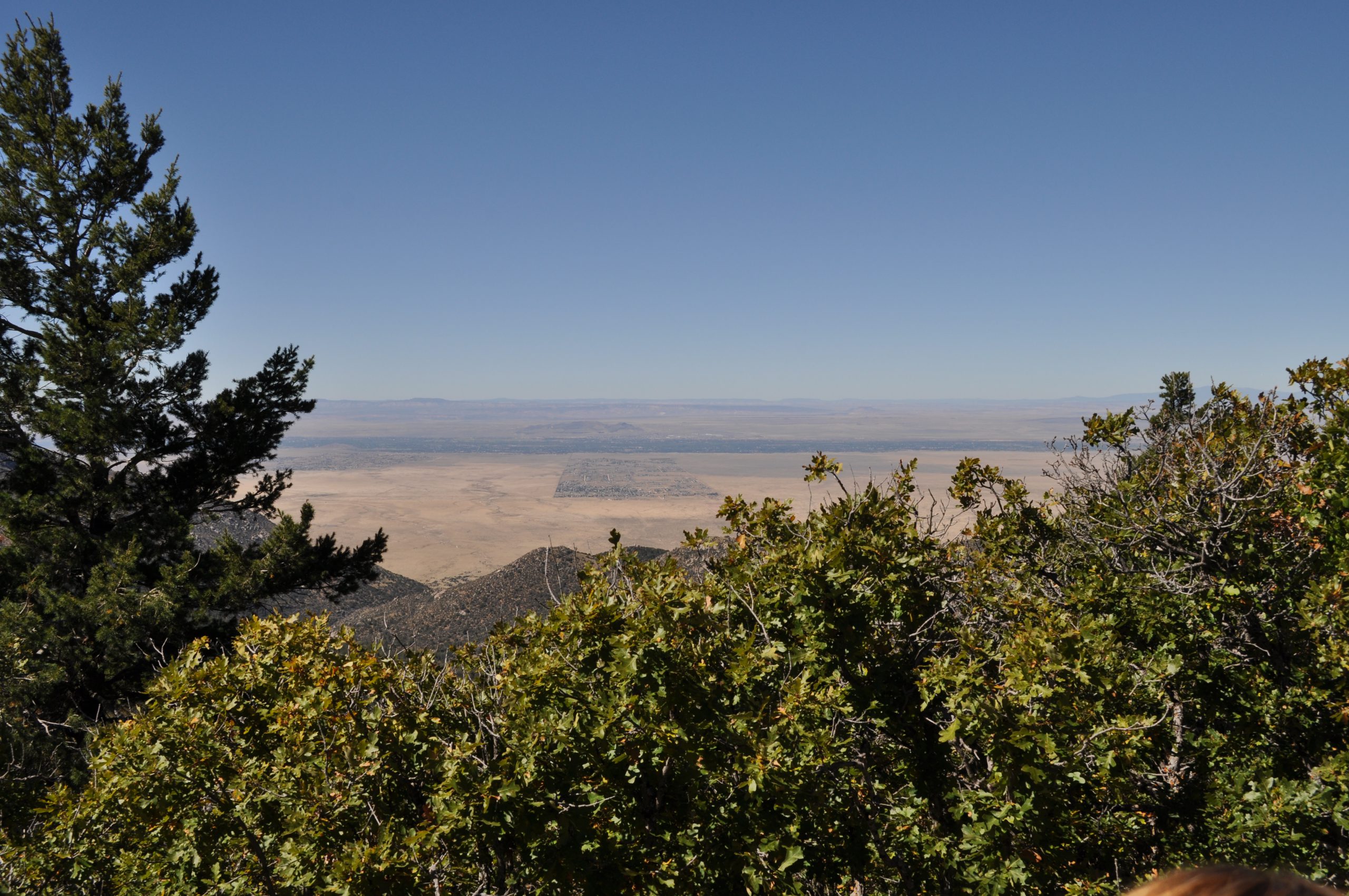 View of the Rio Grande Vallley near Mosca Peek