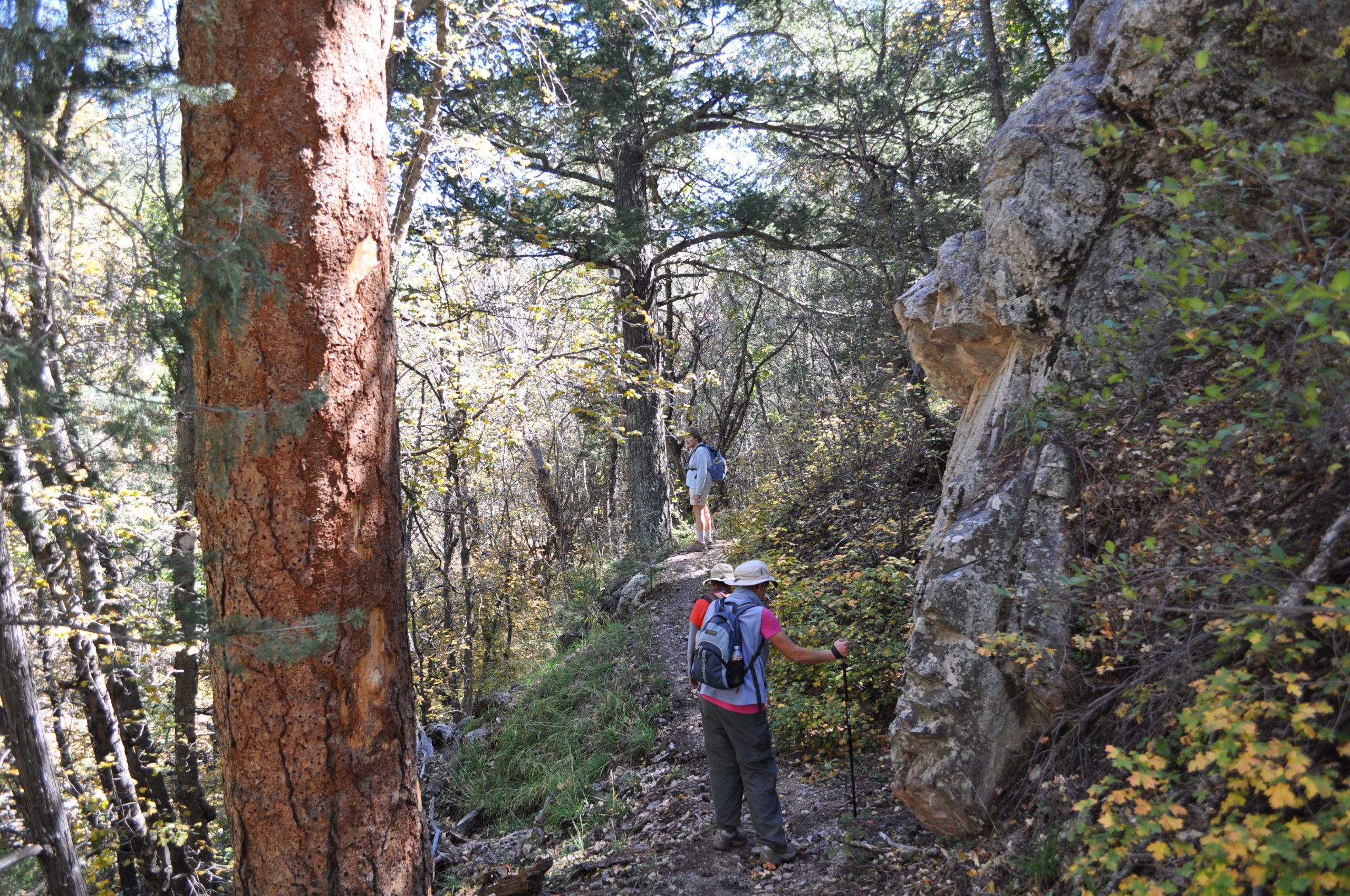 Heading back from Mosca Peek on the Cerro Blanco Trail