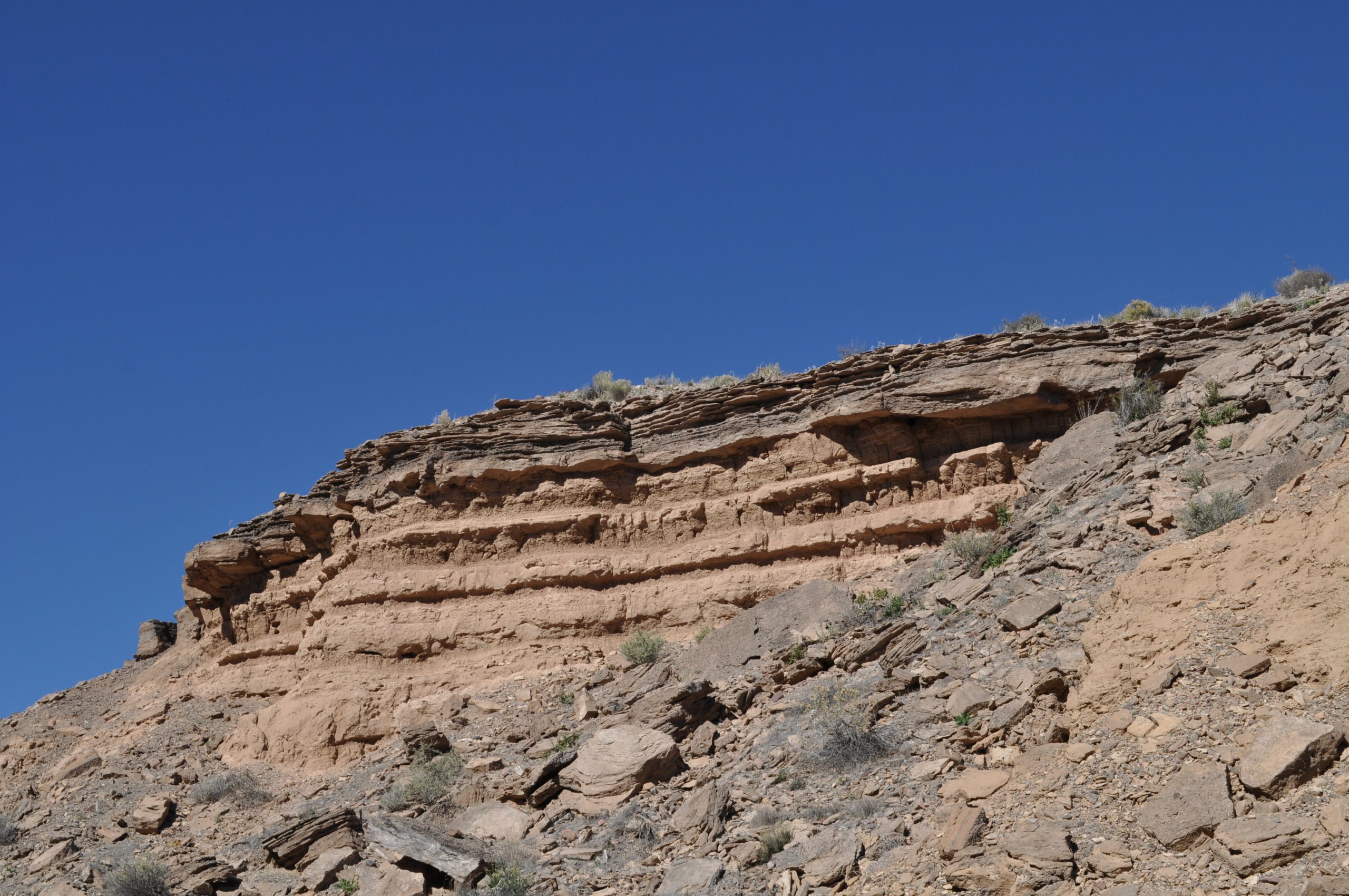 Mesa Cliffs