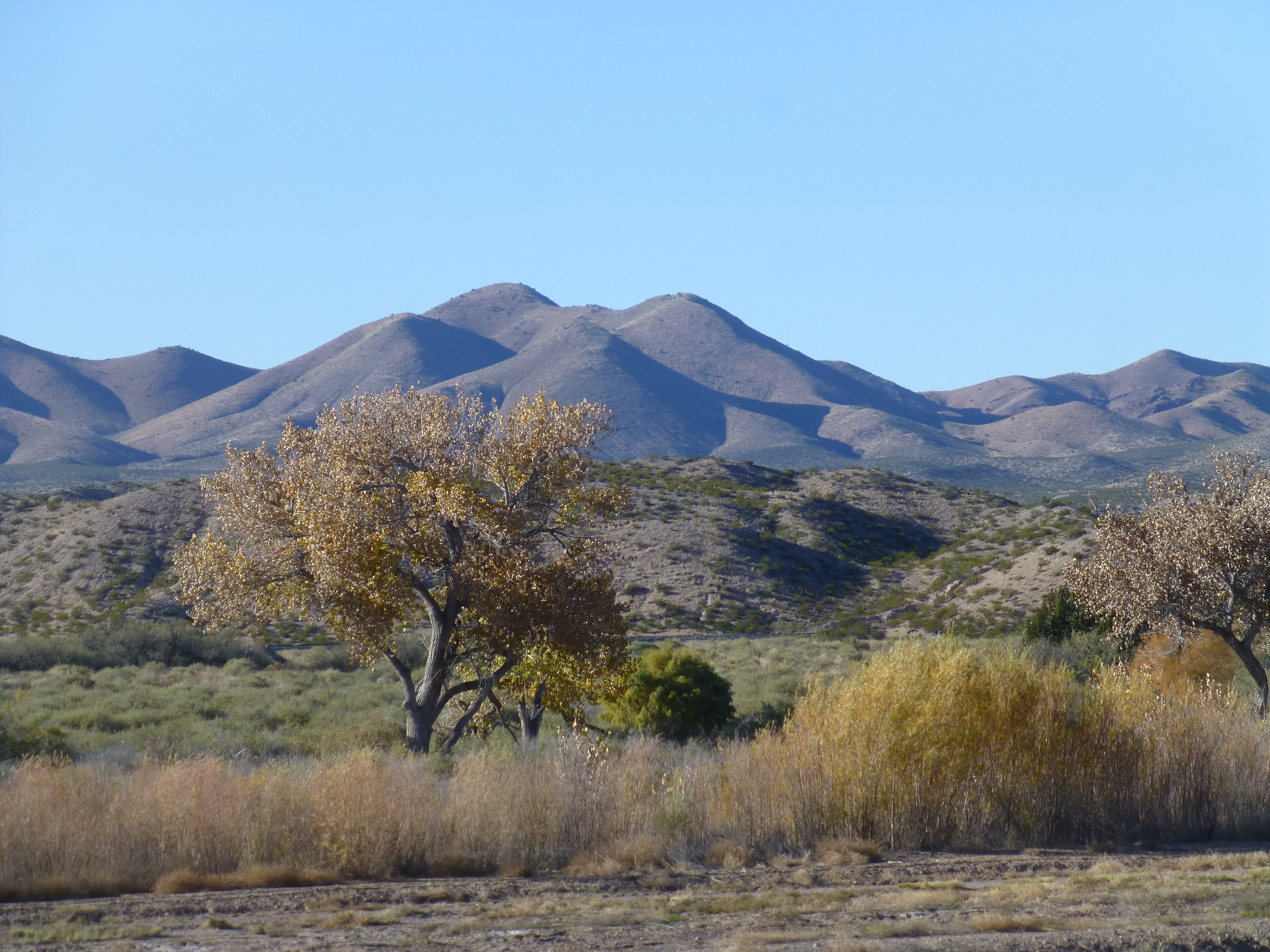 Hills to the East of the Bosque