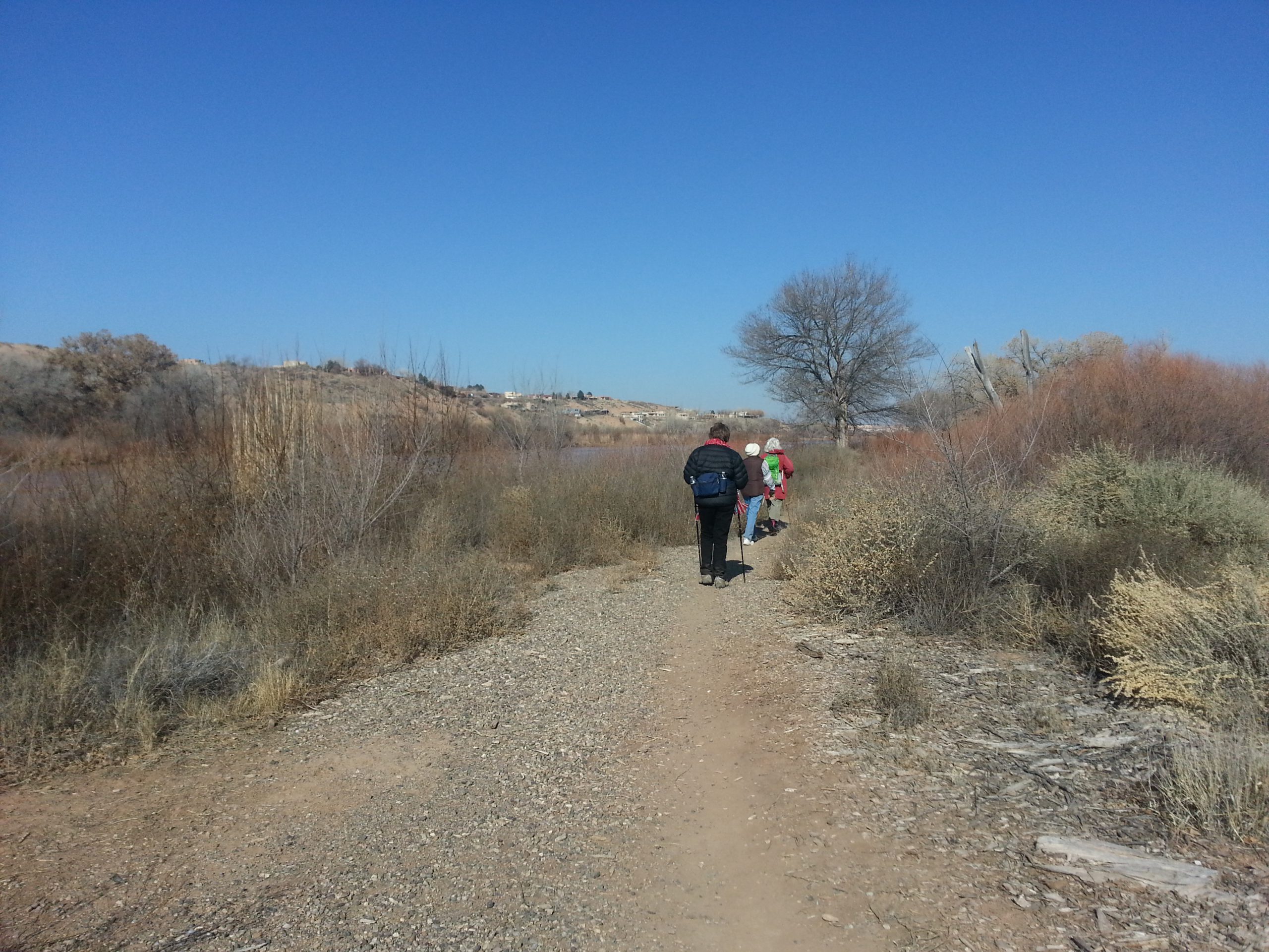 Hikers