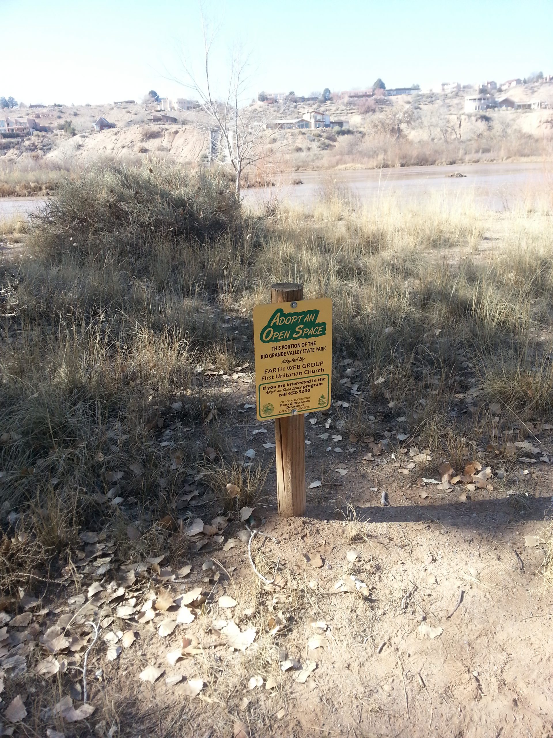 First U Earth Web Invasive Clean Up Area