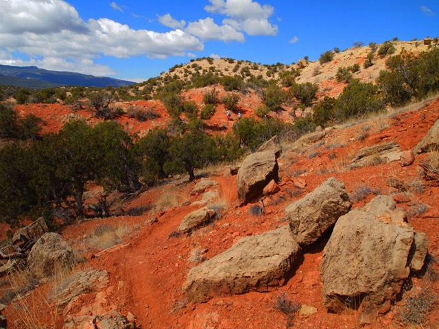 On the trail, rocks and junipers