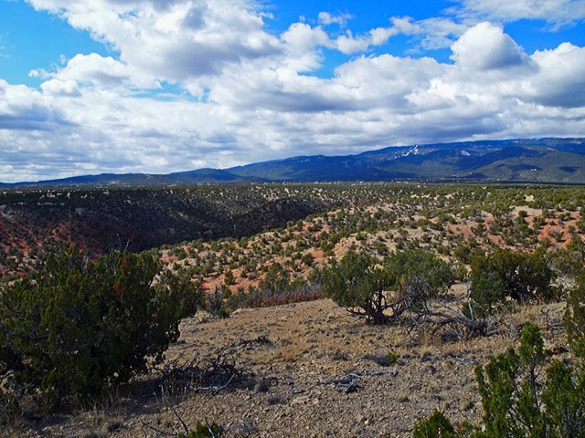 First canyon and the Sandia Mountains
