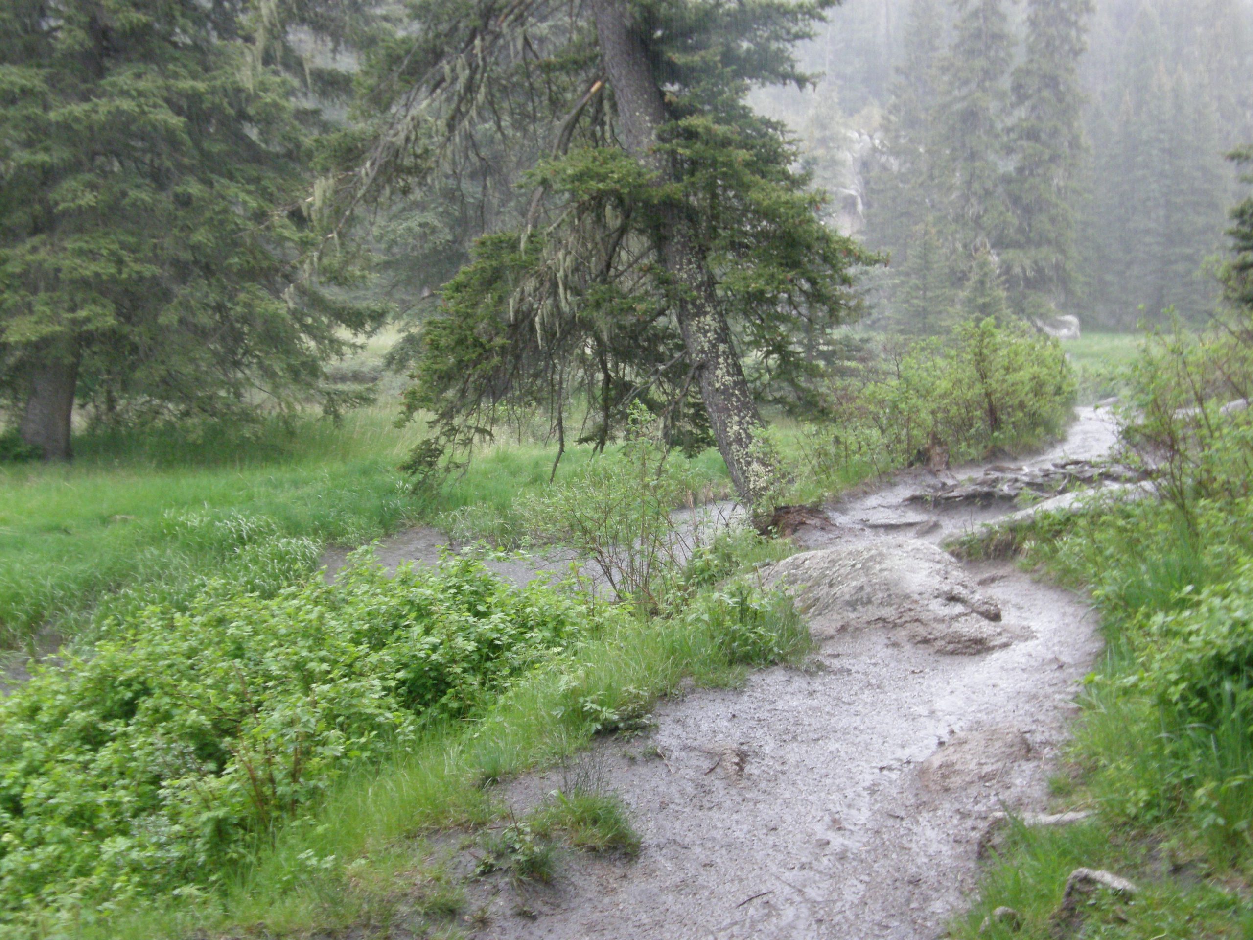 Along the East Fork