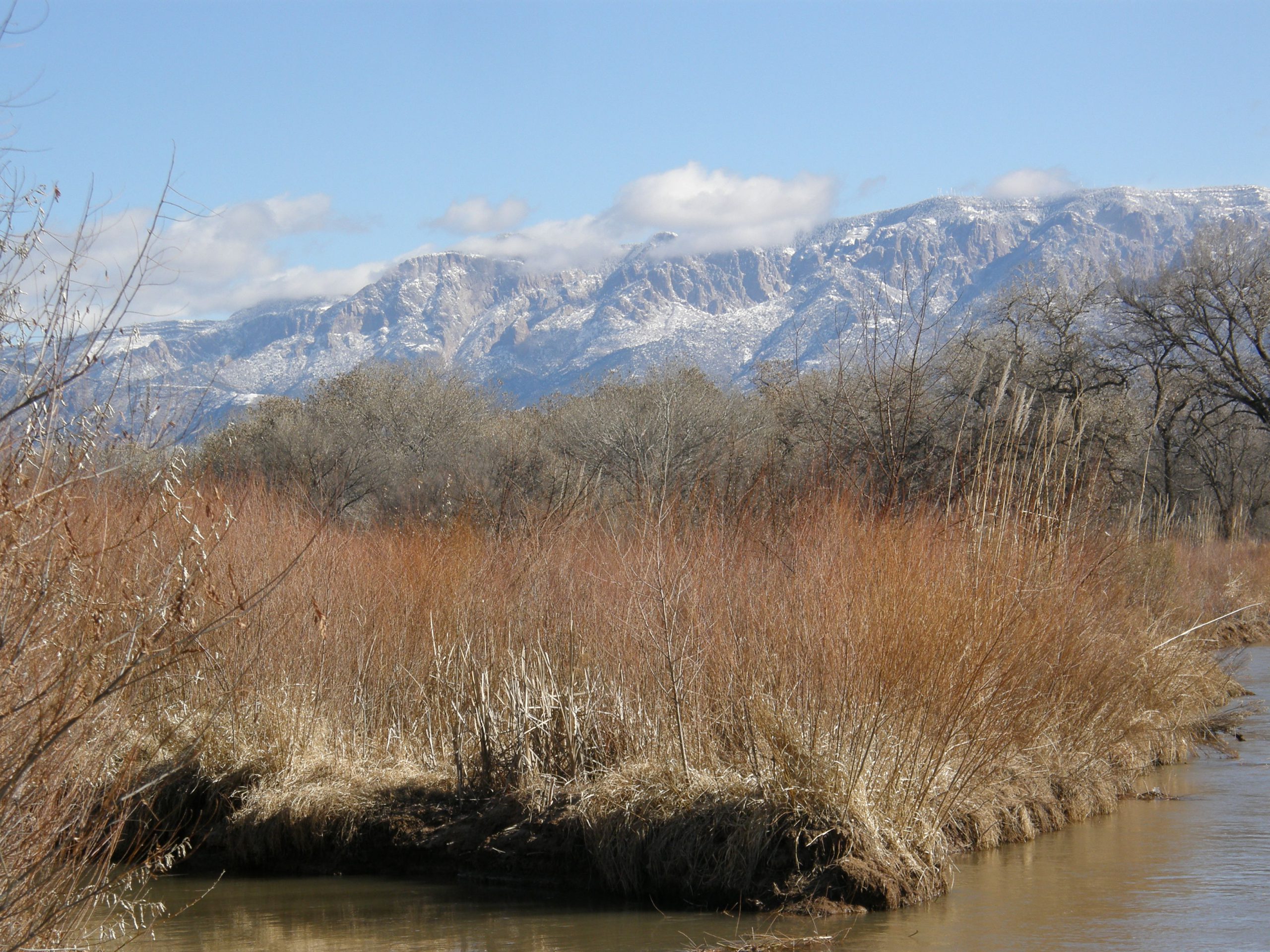 View of the Sandia Mts.