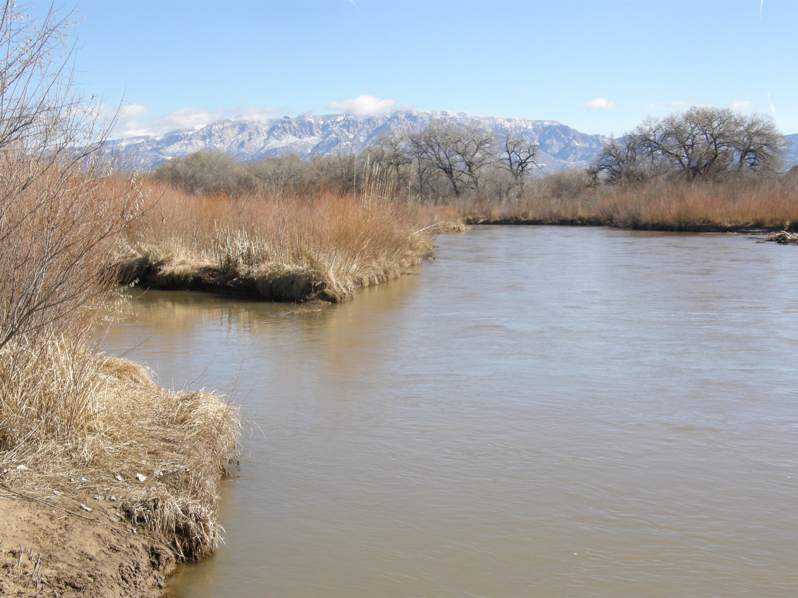 View of the Rio Grande and Sandia Mts. (Kathleen)