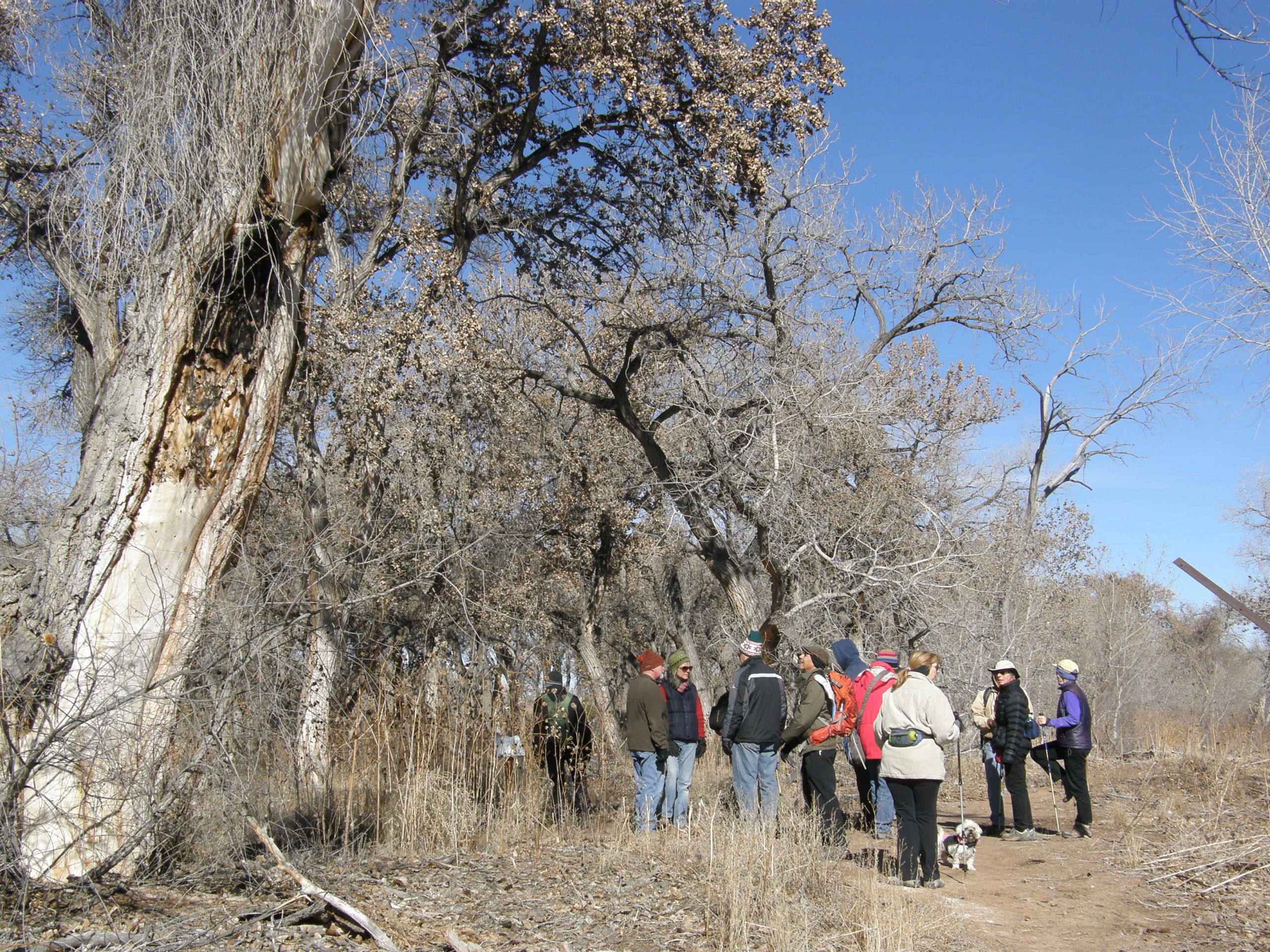 Hiking Through the Bosque (Kathleen)