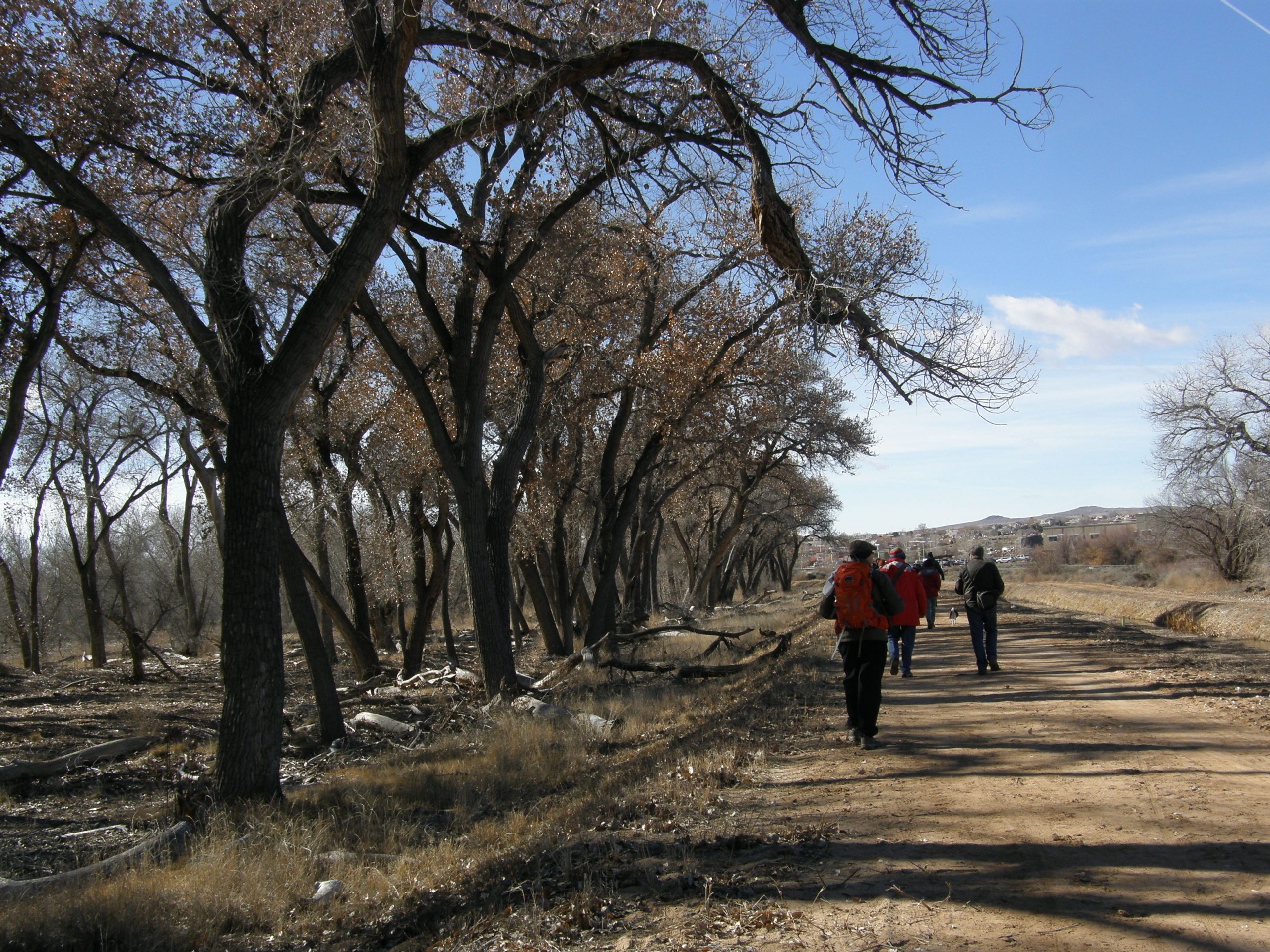 Hiking Through the Bosque on the Way Back (Kathleen)
