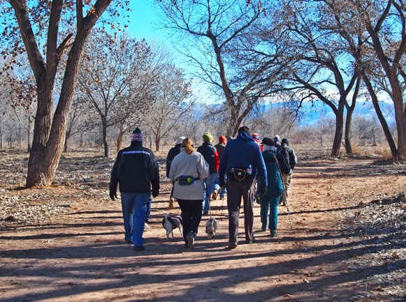 Hiking Through the Bosque (Neal)