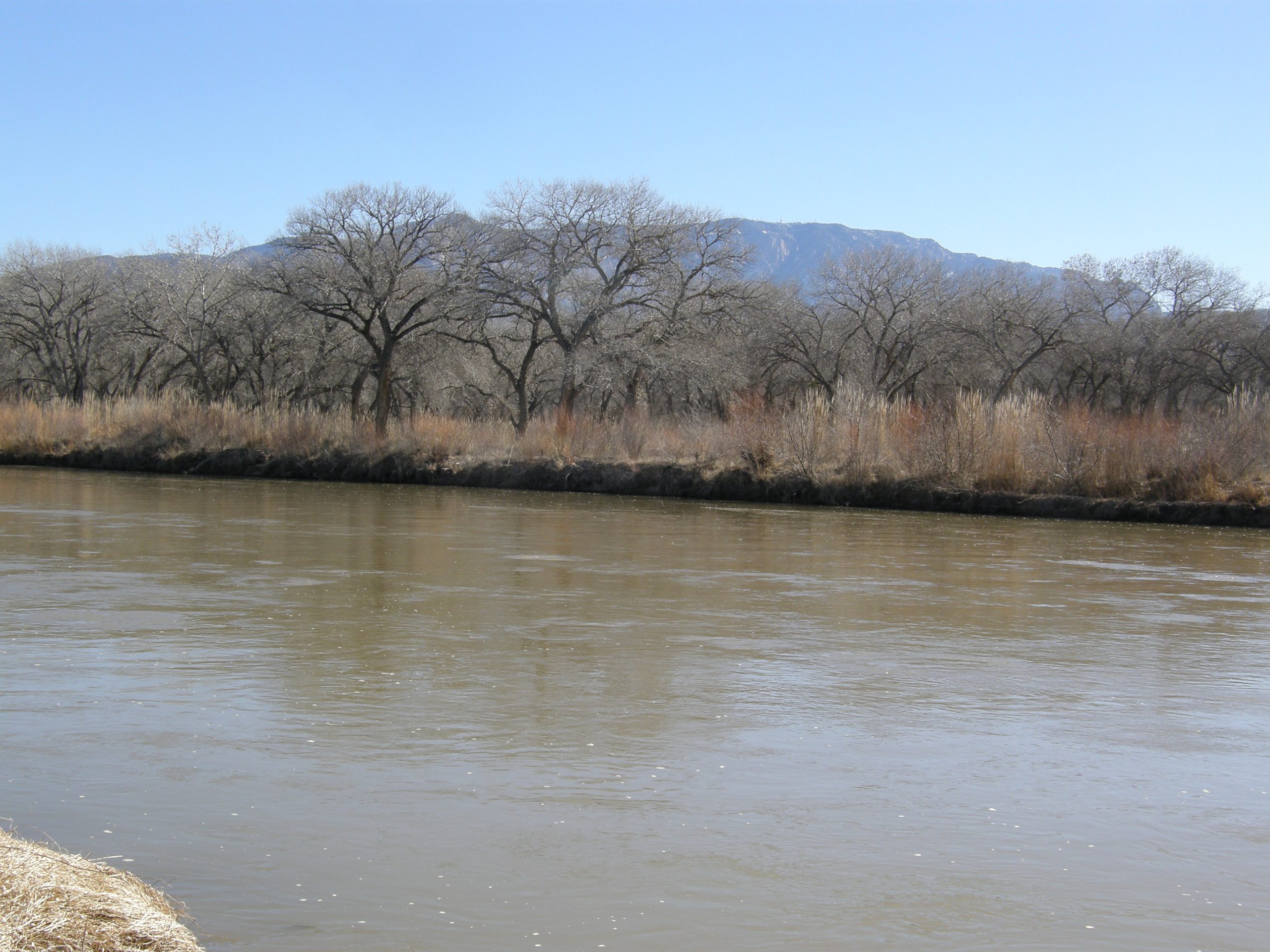 Walking Along The Rio Grande