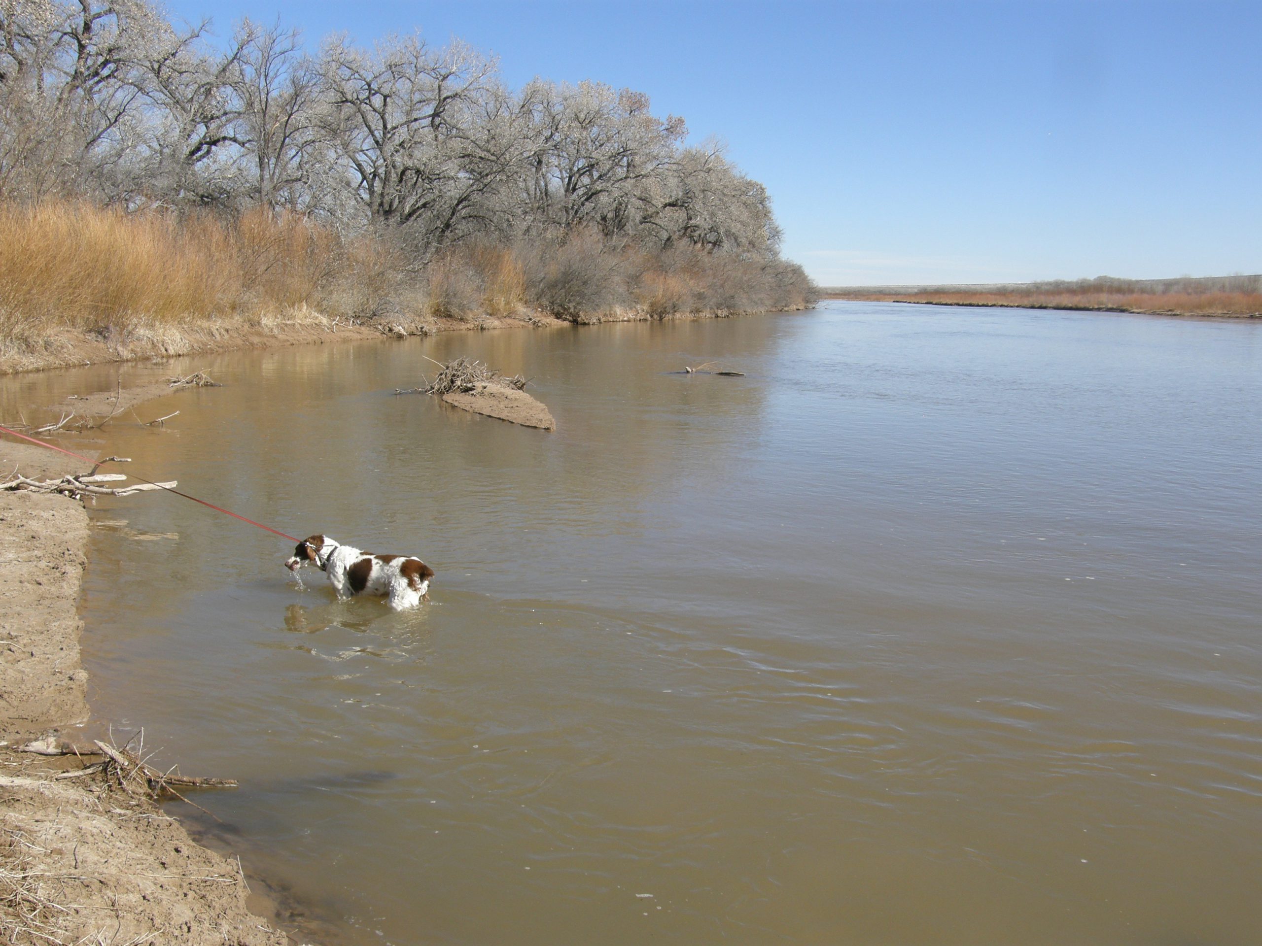Walking Along The Rio Grande