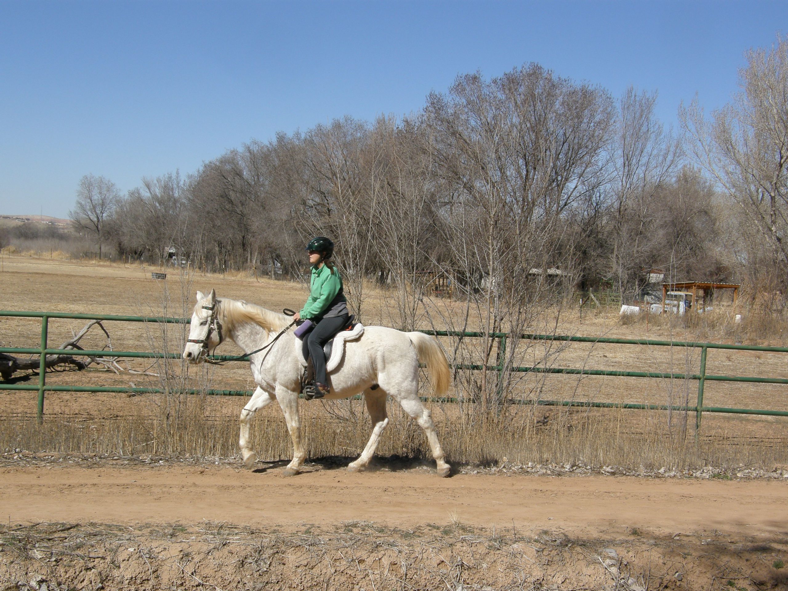 Rider Along the Ditch on Our Return