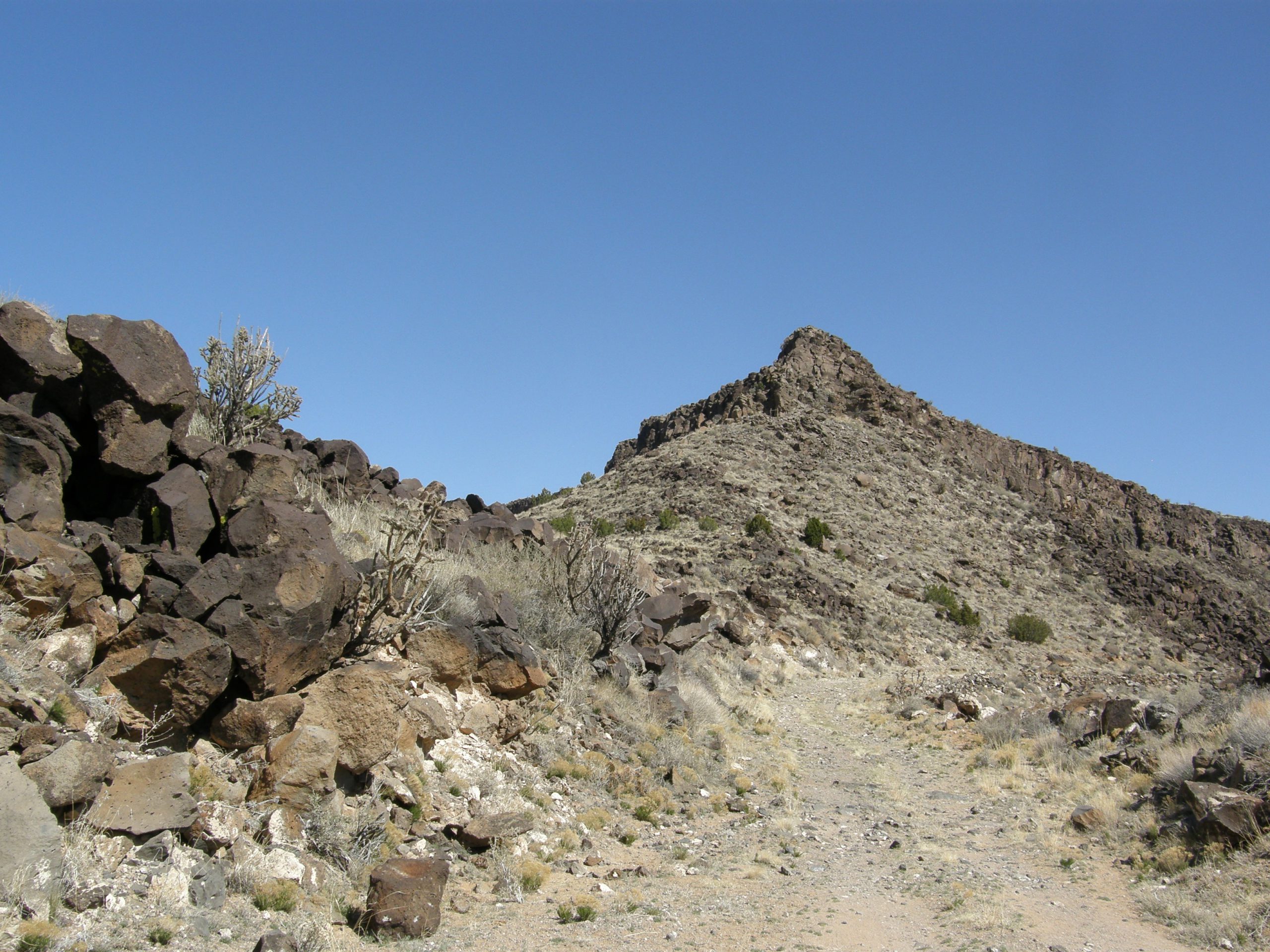 The Road Up - Pointed Peak