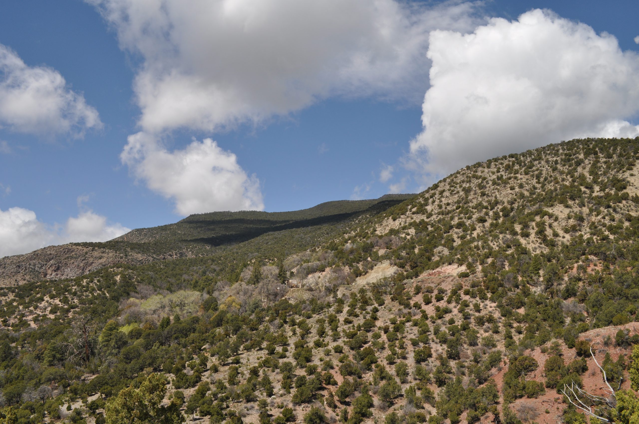 View North Toward the Spring Along the "Long Trail" (Scott)
