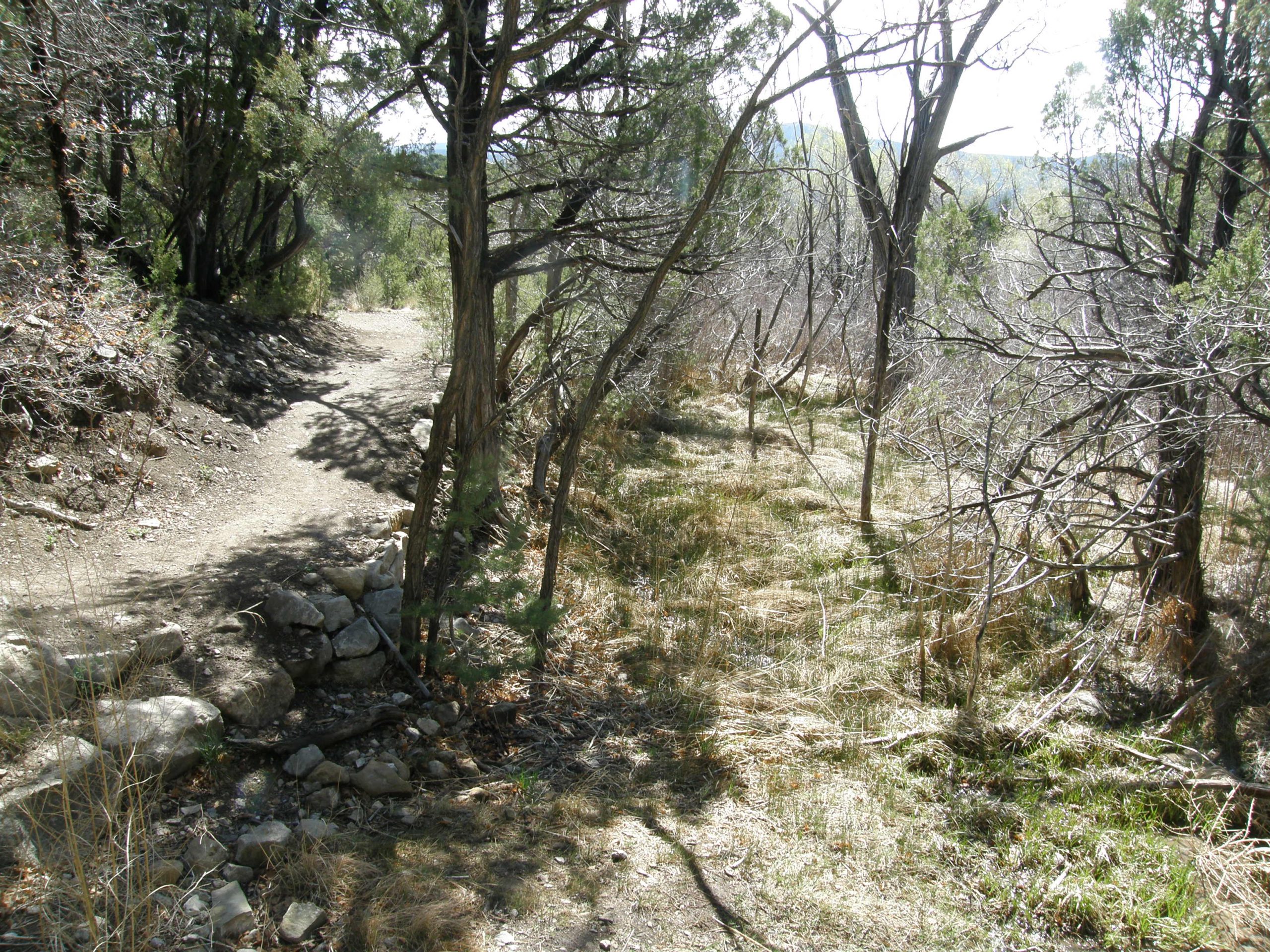Along the Trail (Kathleen)