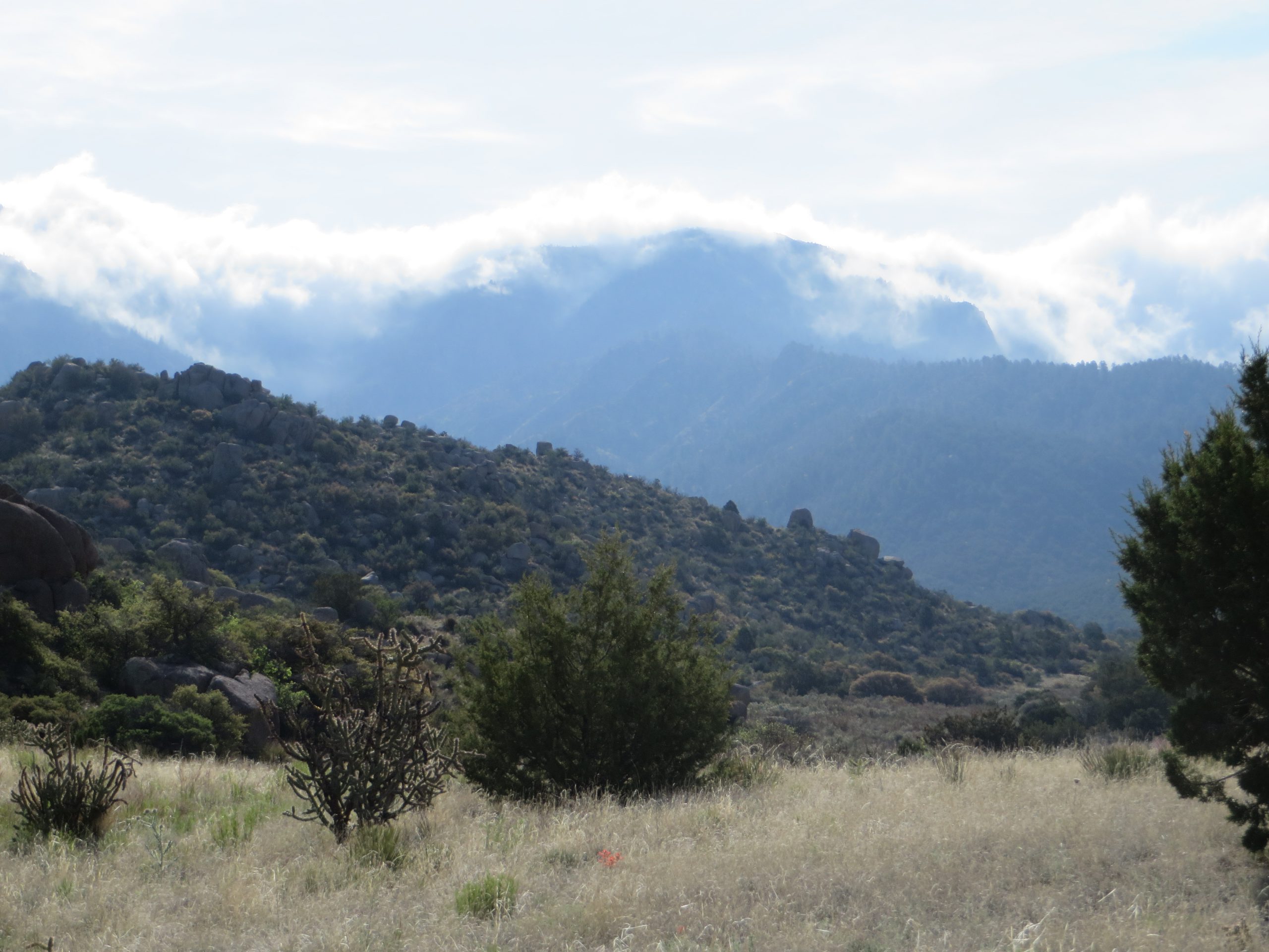 View of the Sandias Covered in Clouds (Ellen)
