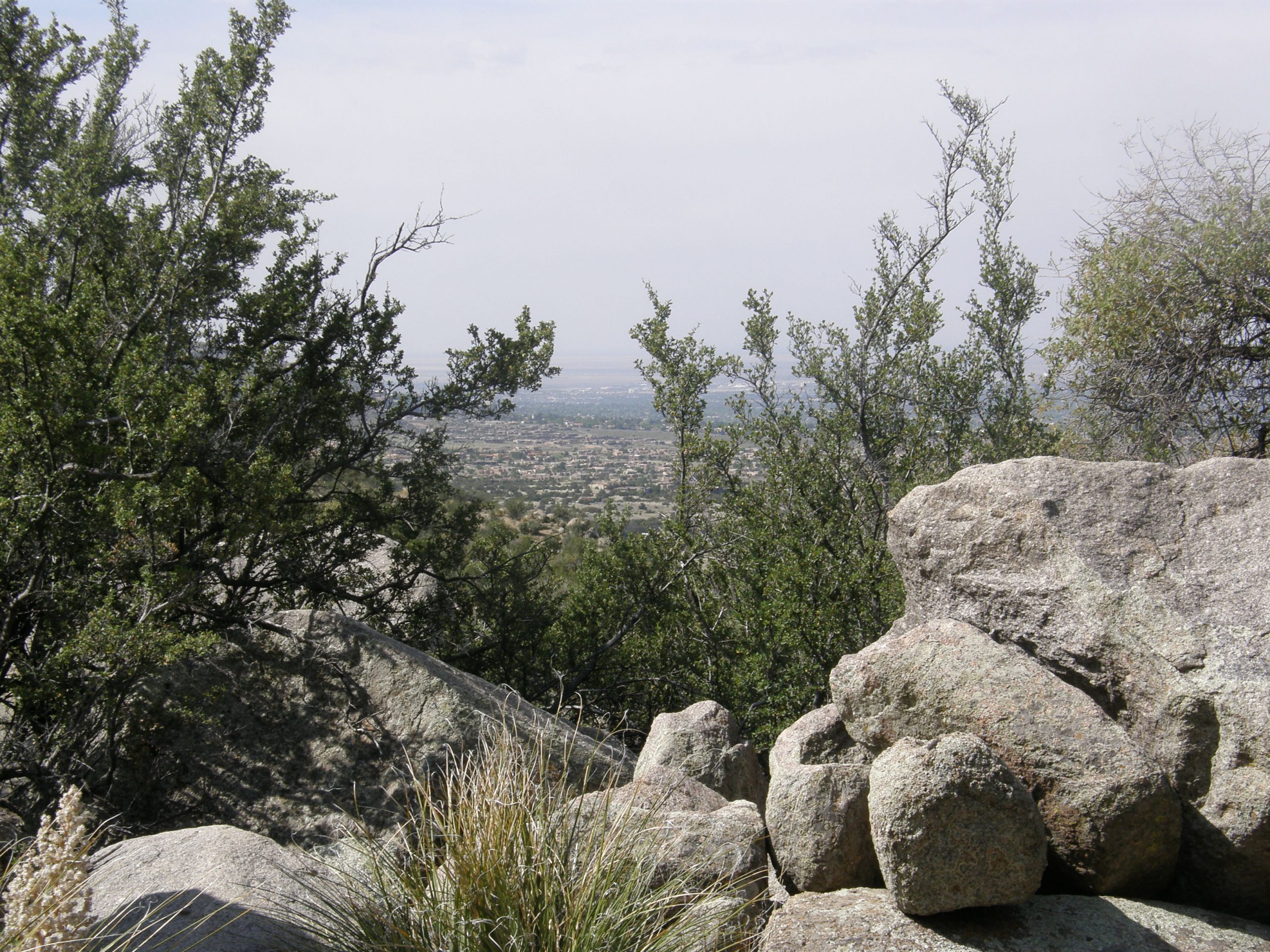 View of the Valley (Kathleen)