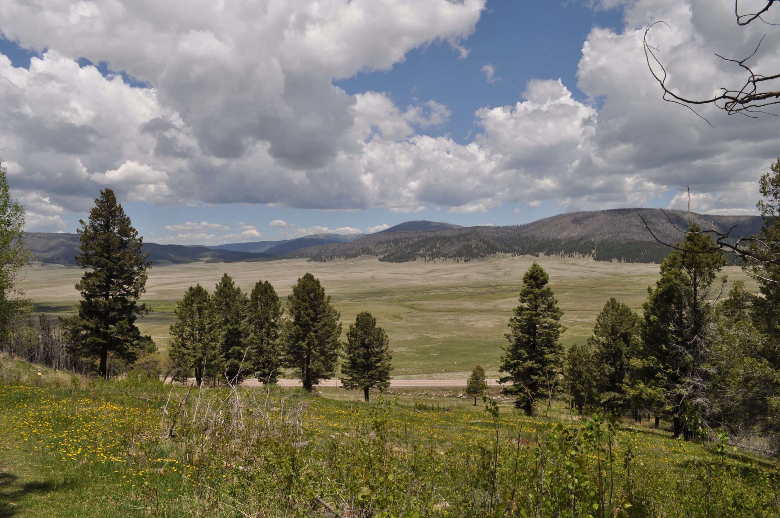 View of Valles Caldera