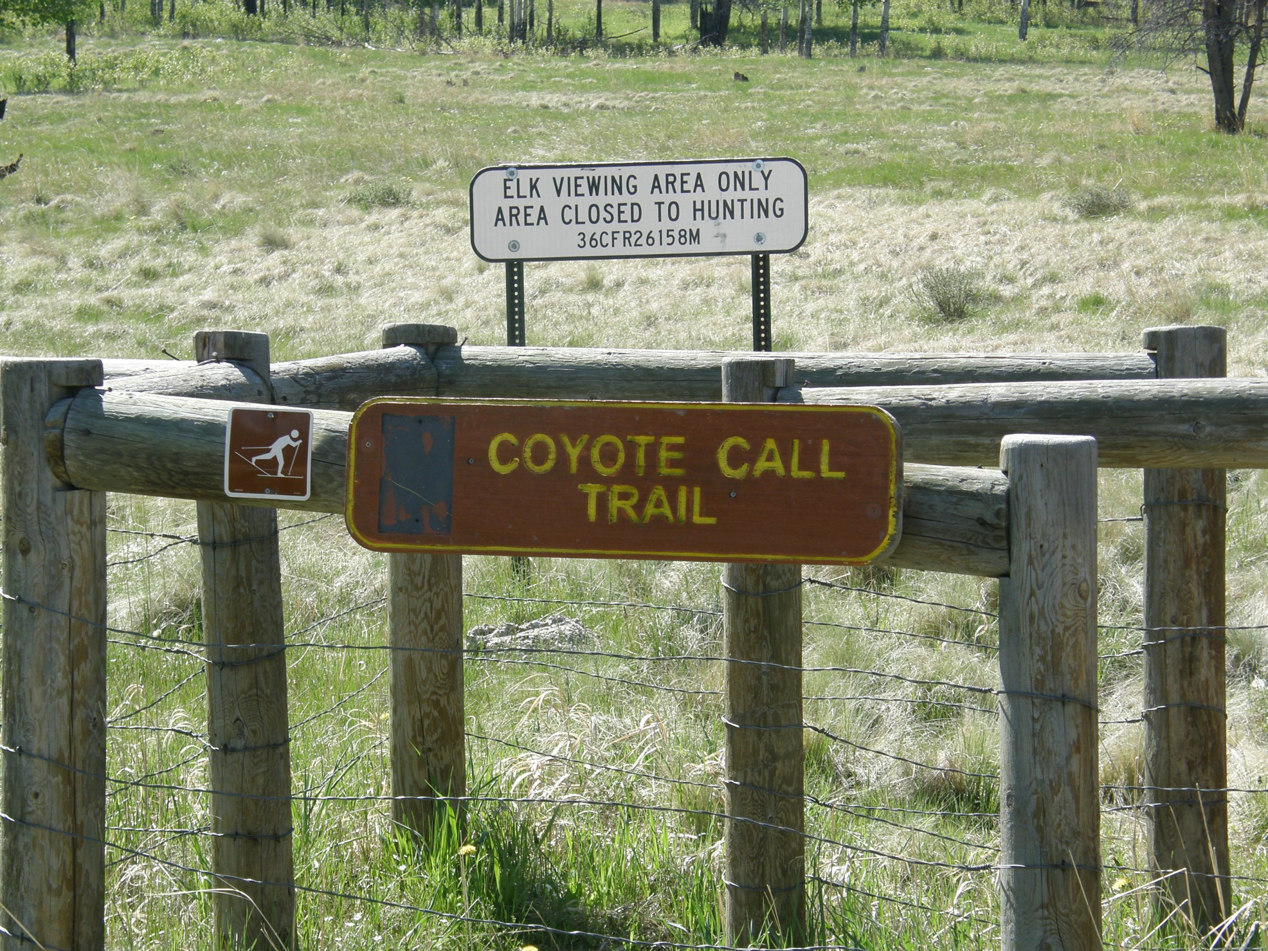 At the Trail Head