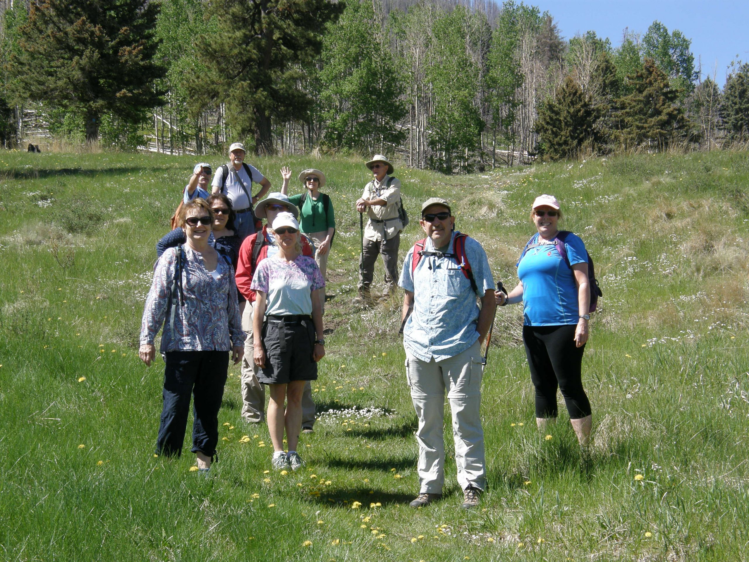 The Hikers