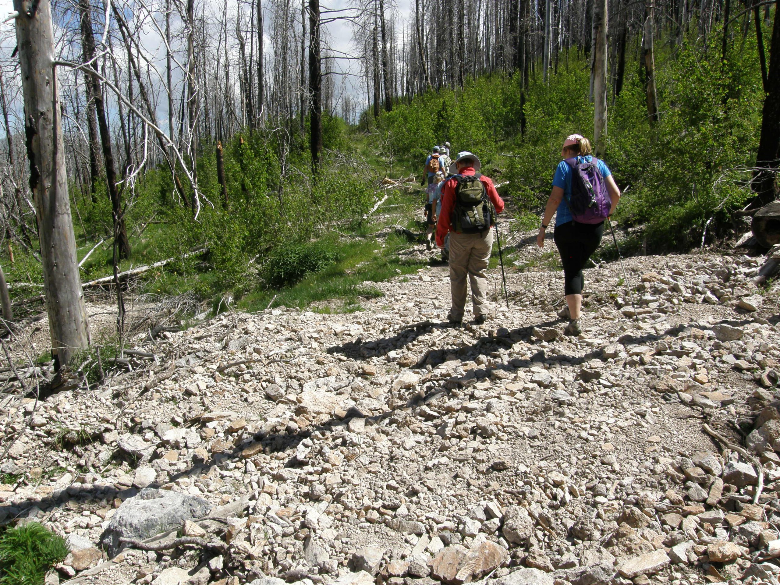 Crossing a Washed Out Area Caused By Erosion from Las Conchas Fire
