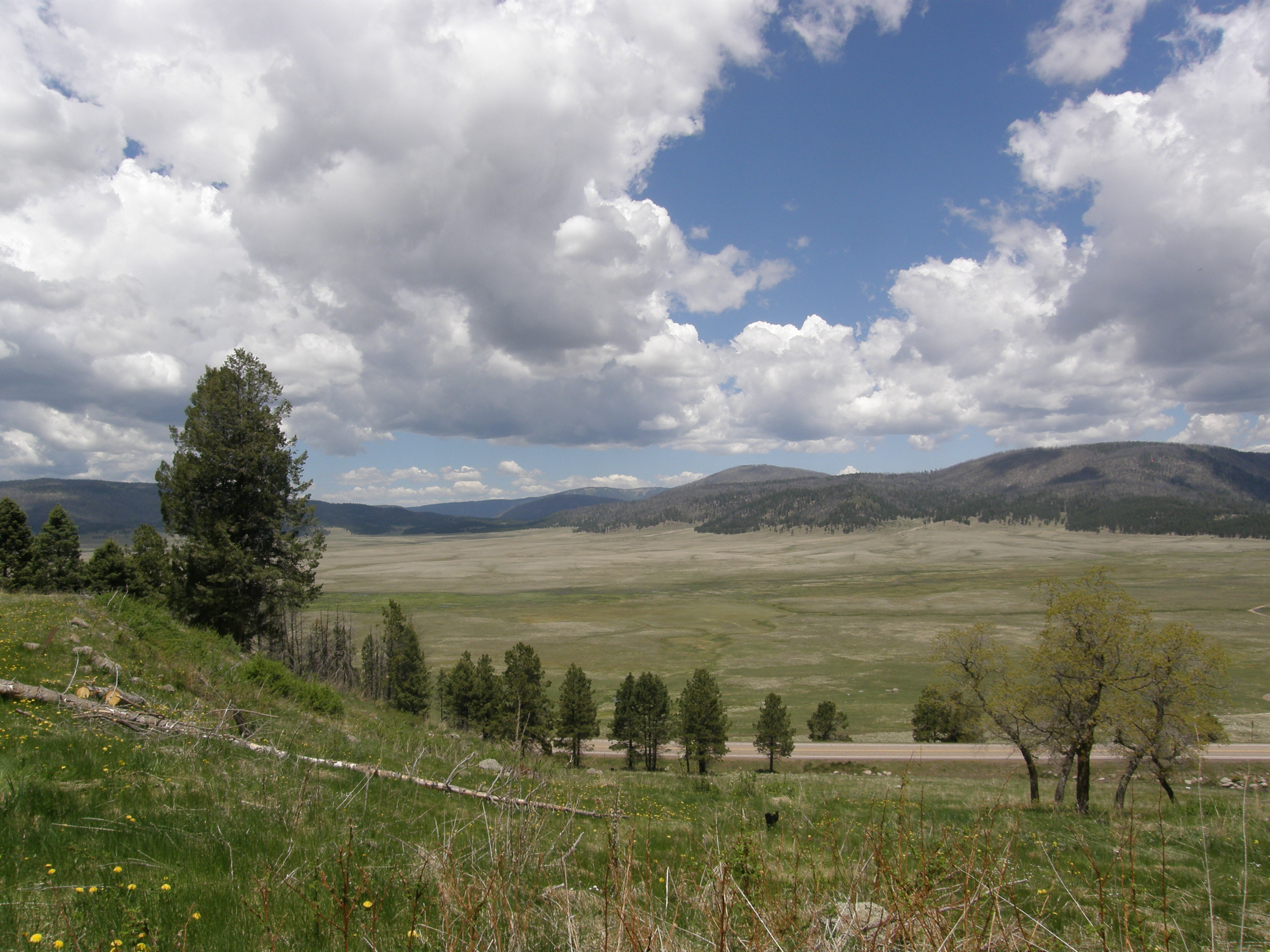 View of Valles Caldera