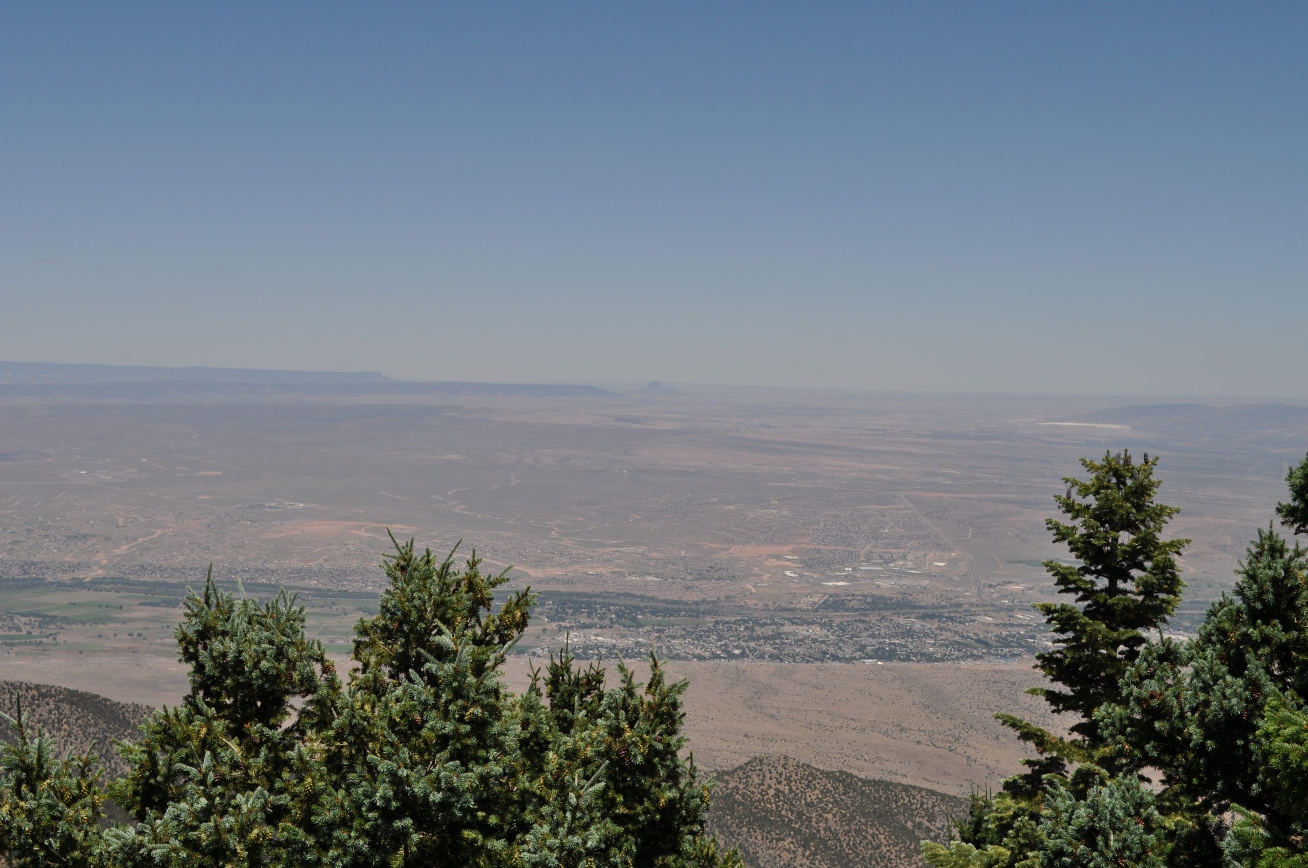 View from the Crest