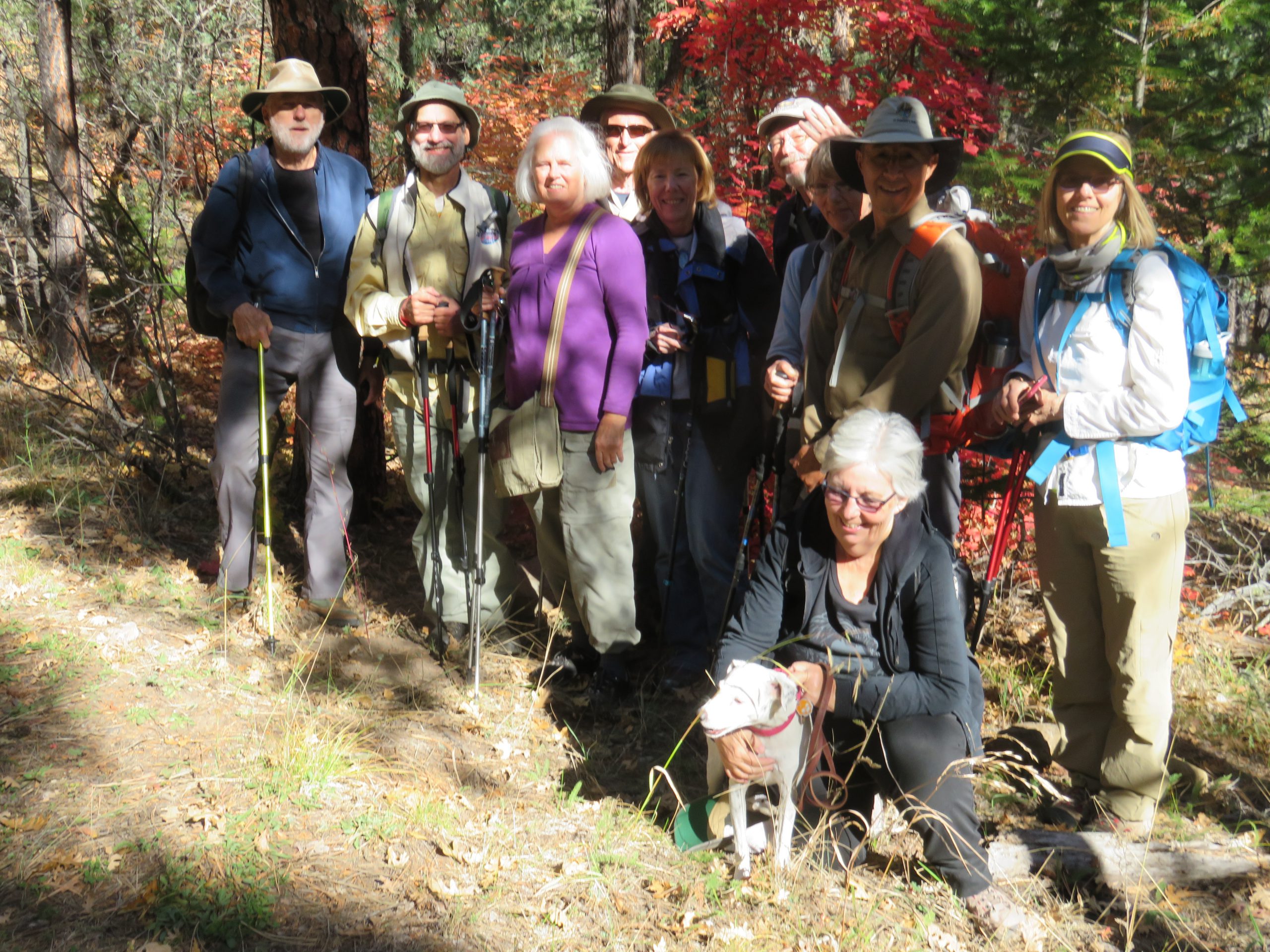 The Hikers