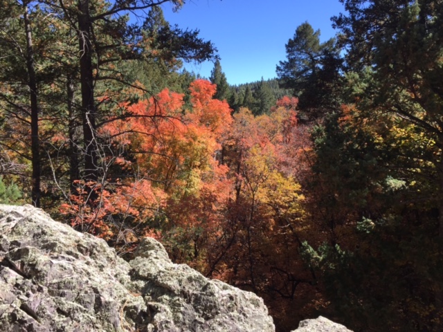 Fall Color along the Trail
