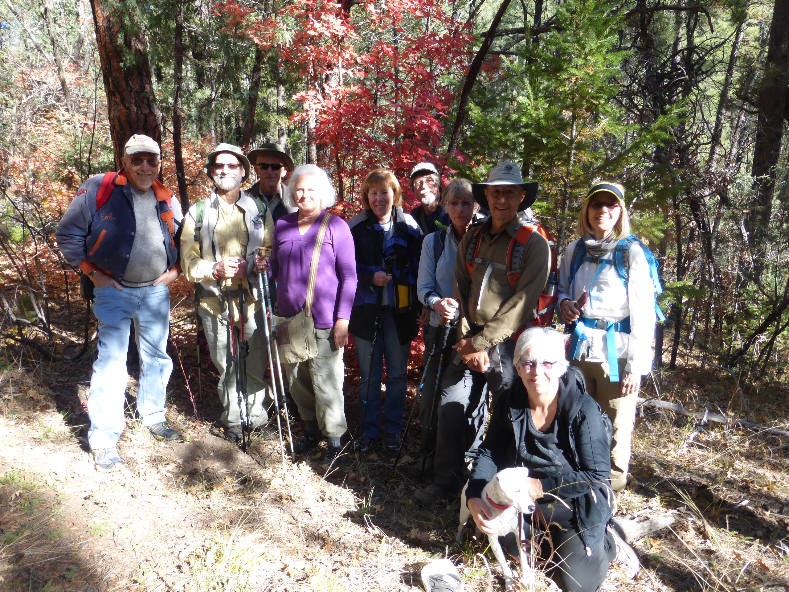 The Hikers