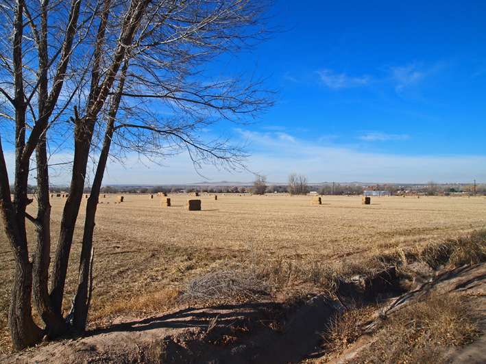 Poblanos Field